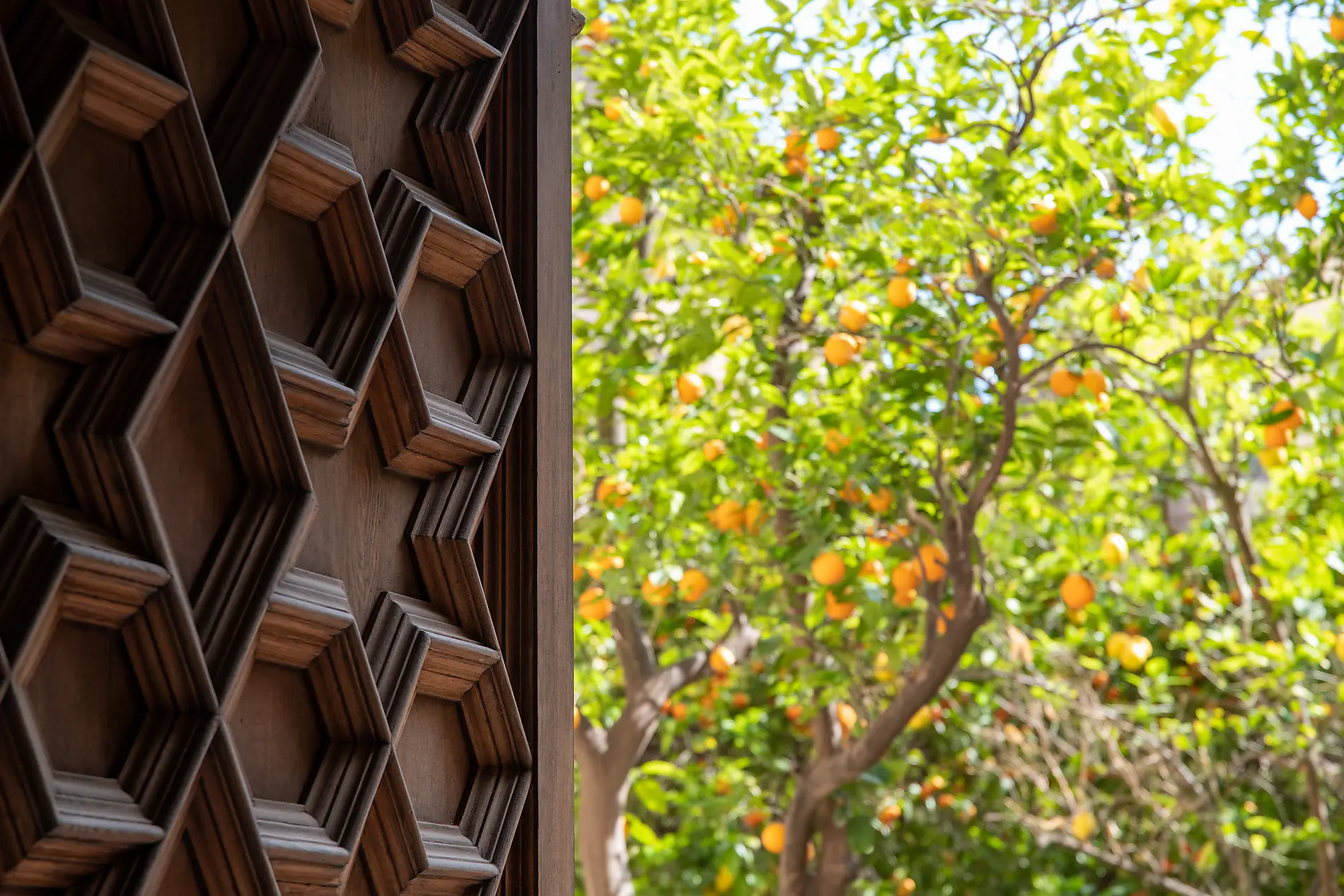 Schätze des westlichen Mittelmeers