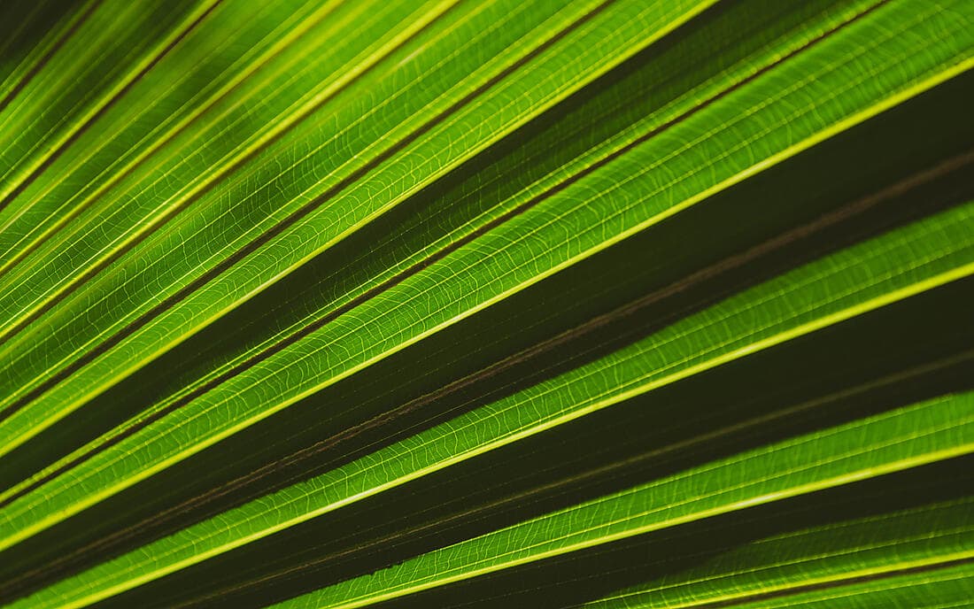 Relaxing Mauritius (1 NIGHT)