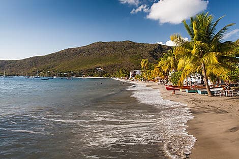 4. Jan 26 - Grande Anse d'Arlet