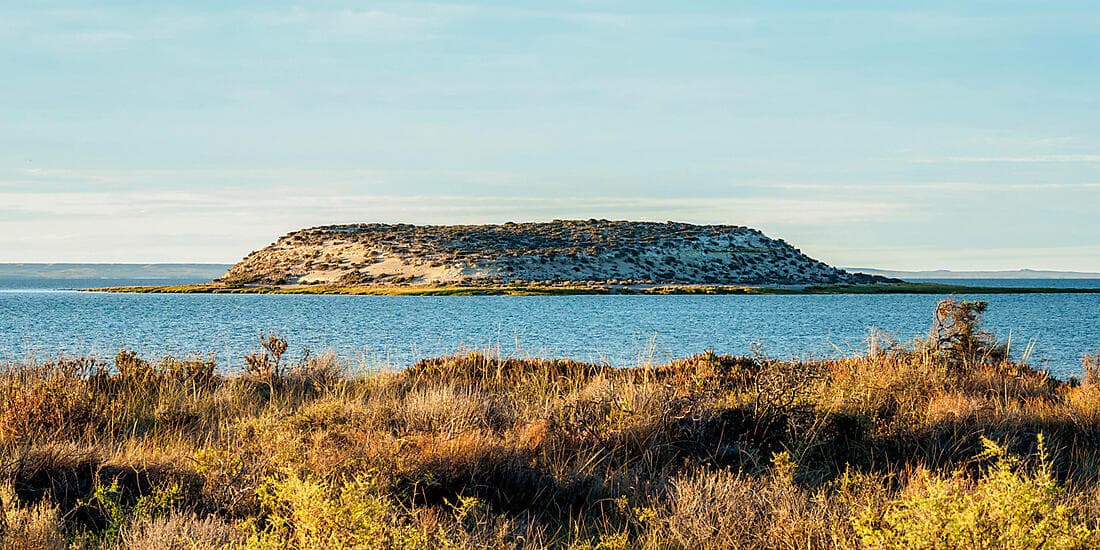 Falkland, Südgeorgien & Halbinsel Valdés: Im Herzen der Wildnis