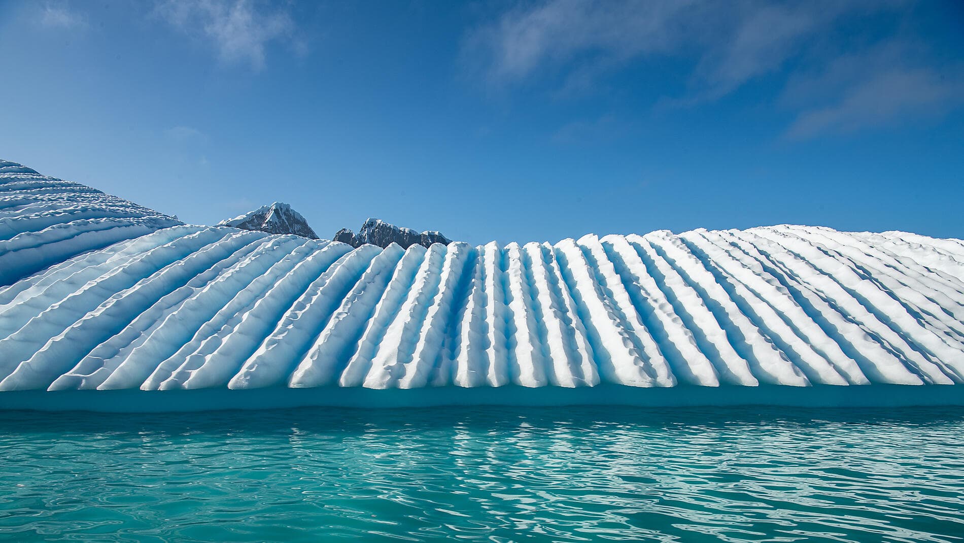 Abenteuer durch das Südpolarmeer bis zur Halbinsel Valdés
