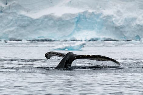 16. Feb 28 - George V Land