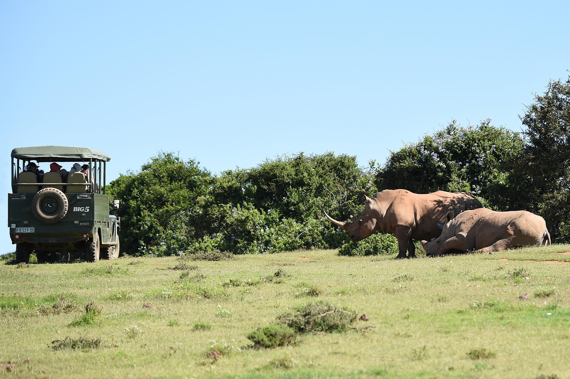 Südafrika und Namibia vom Meer aus: Rund um das Kap der Guten Hoffnung – mit Smithsonian Journeys 
