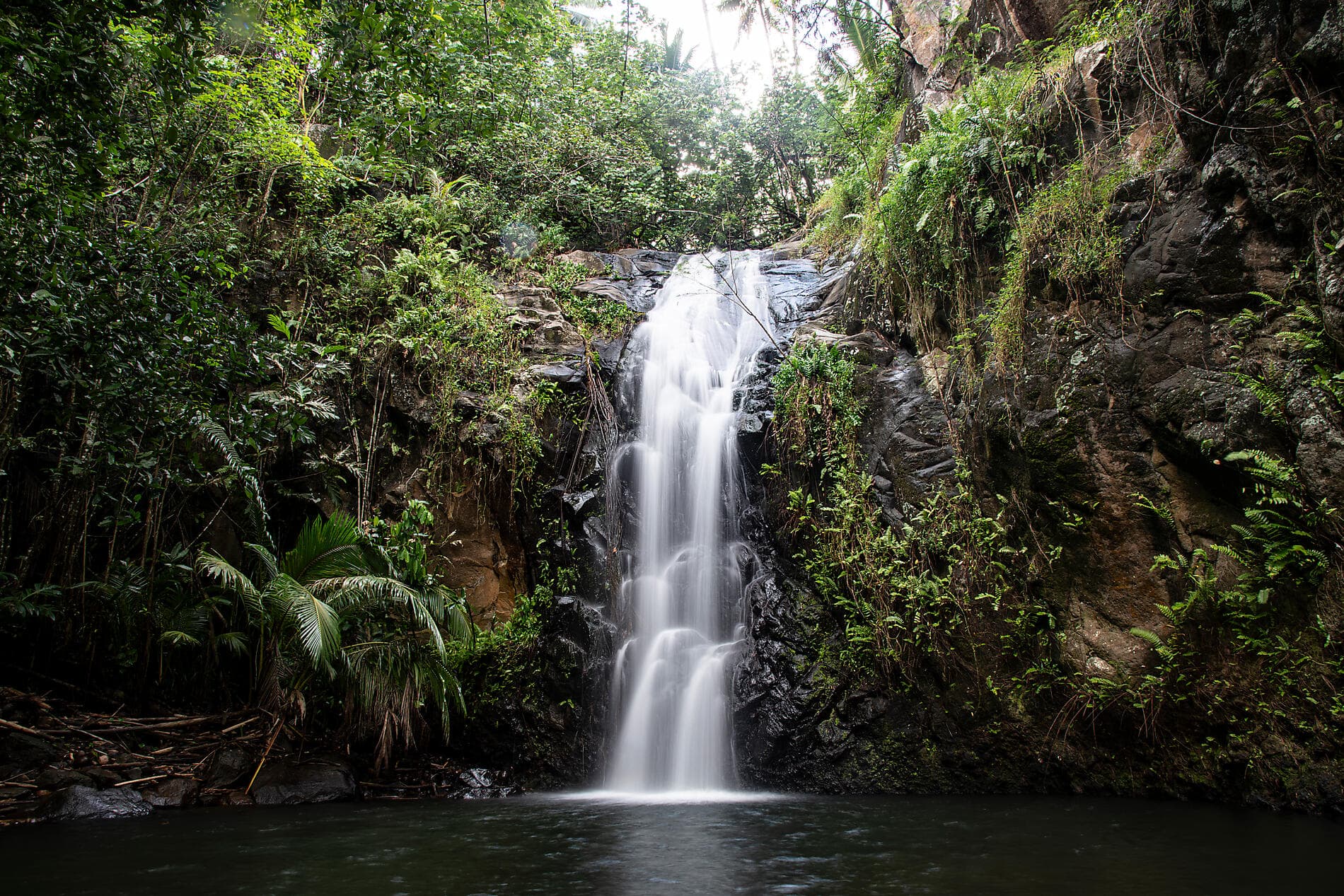 Marquesas, Tuamotu und Gesellschaftsinseln 