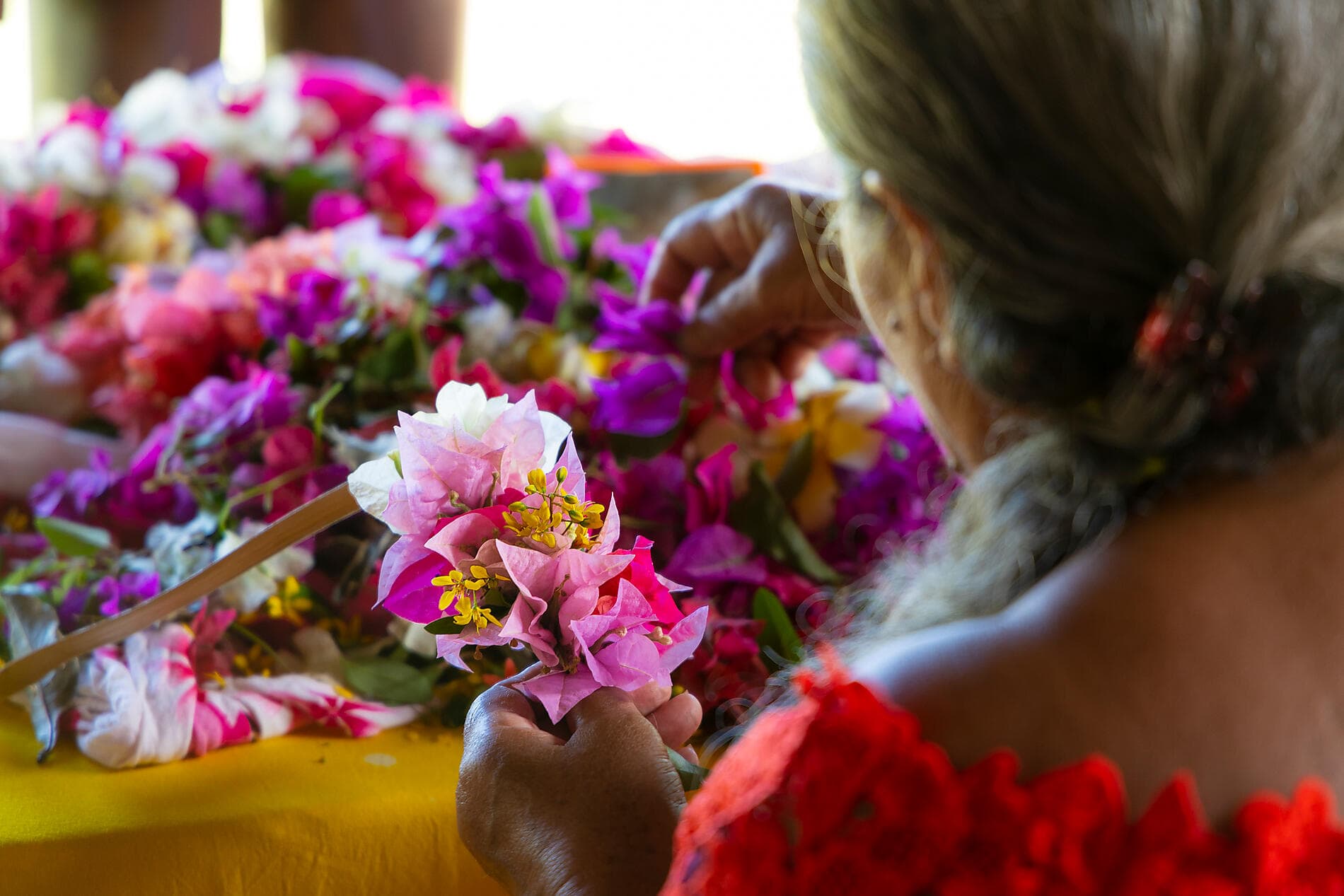 Marquesas, Tuamotu und Gesellschaftsinseln 