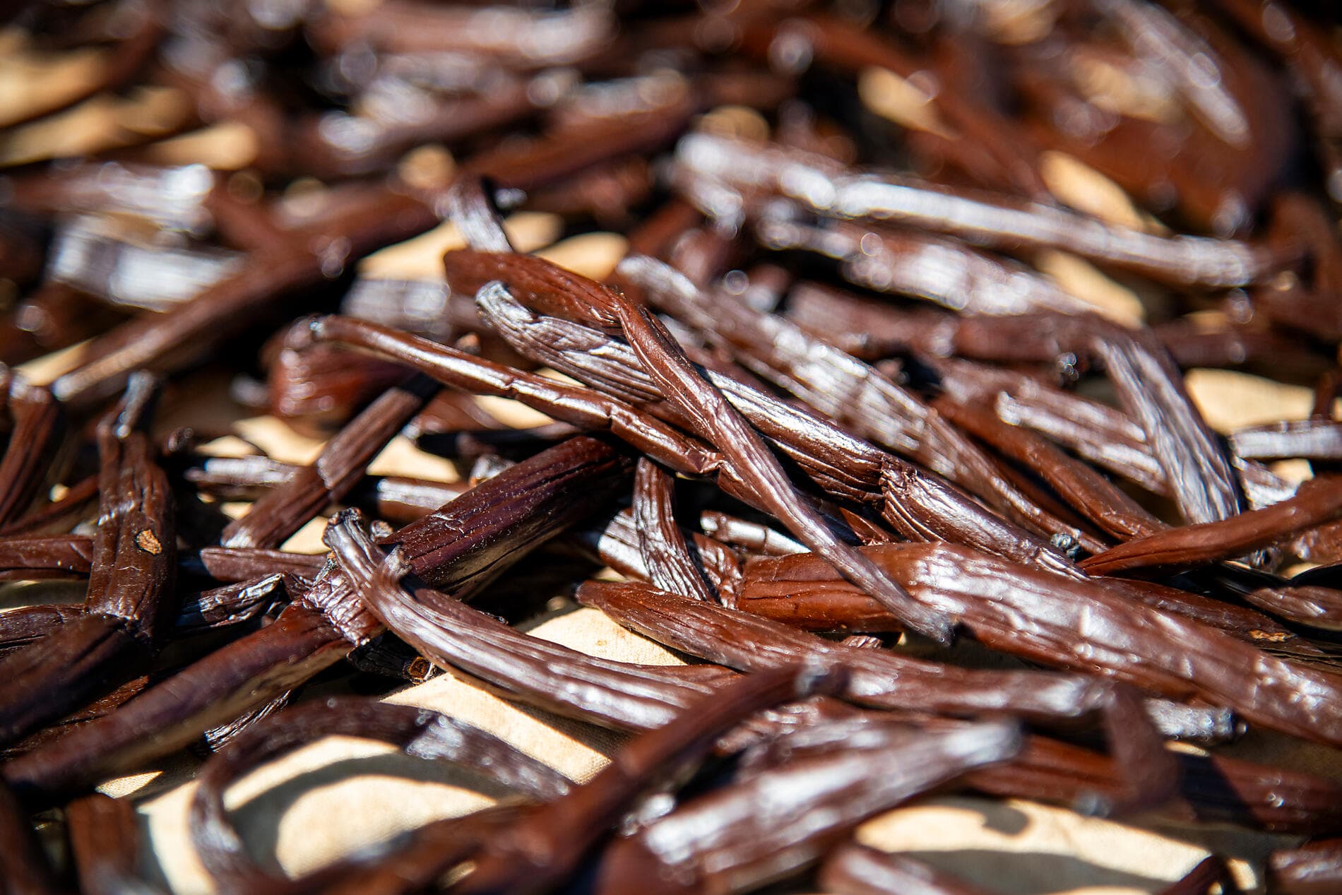 Marquesas, Tuamotu und Gesellschaftsinseln 