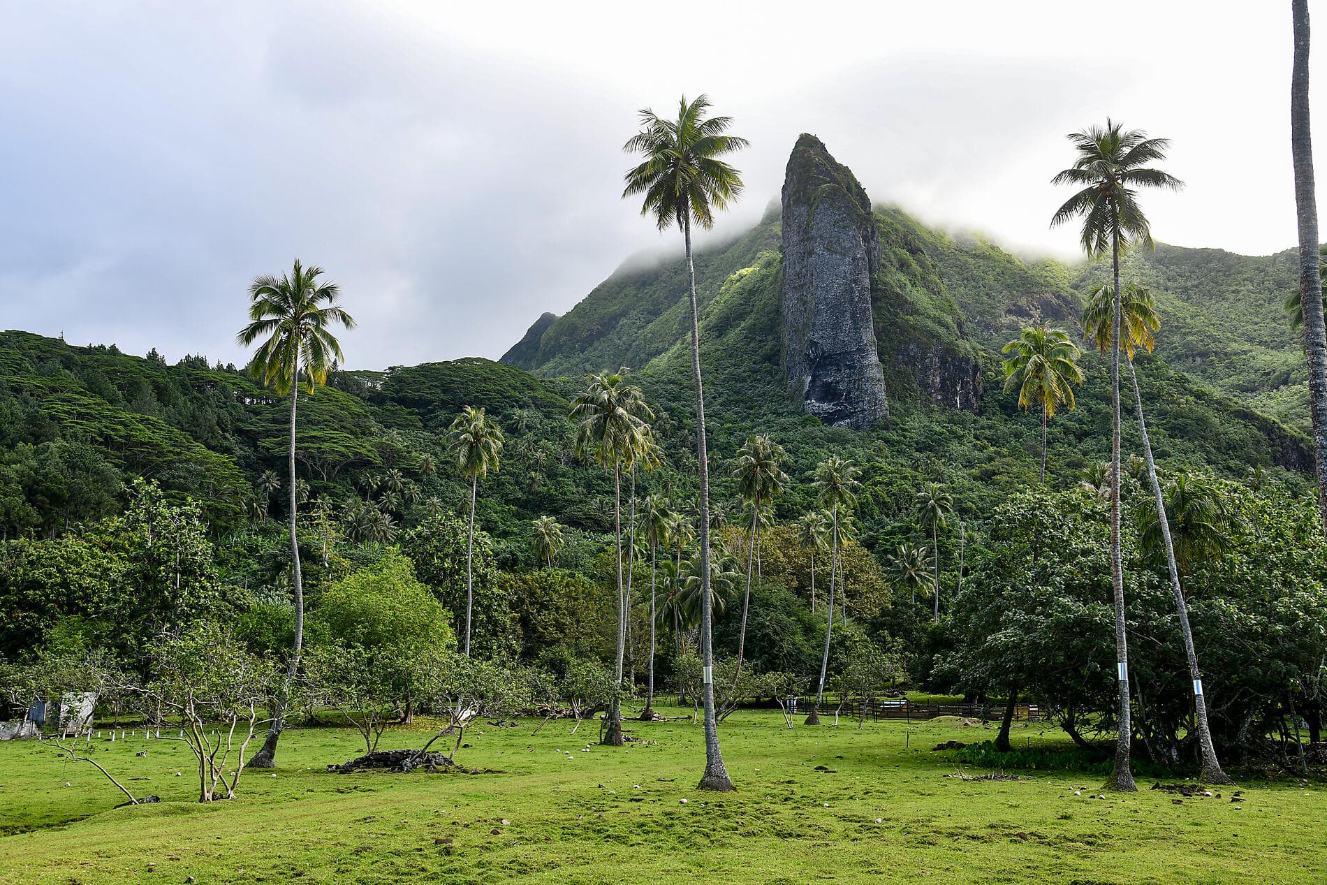 Gesellschaftsinseln und Tuamotu-Archipel  