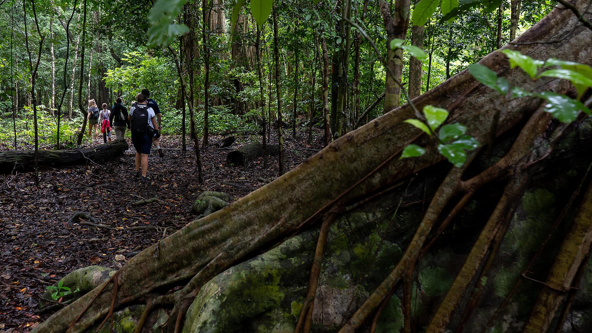 Inseln, Städte und Vulkane Indonesiens  