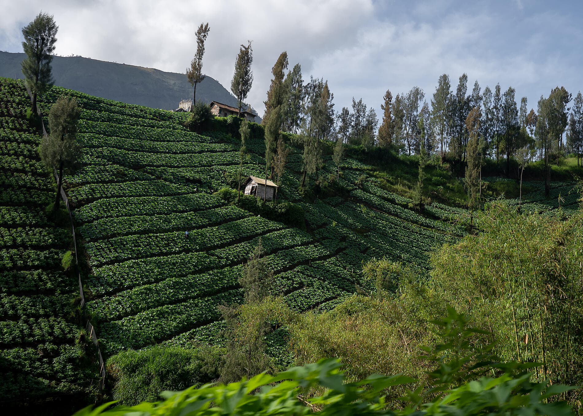Inseln, Städte und Vulkane Indonesiens  