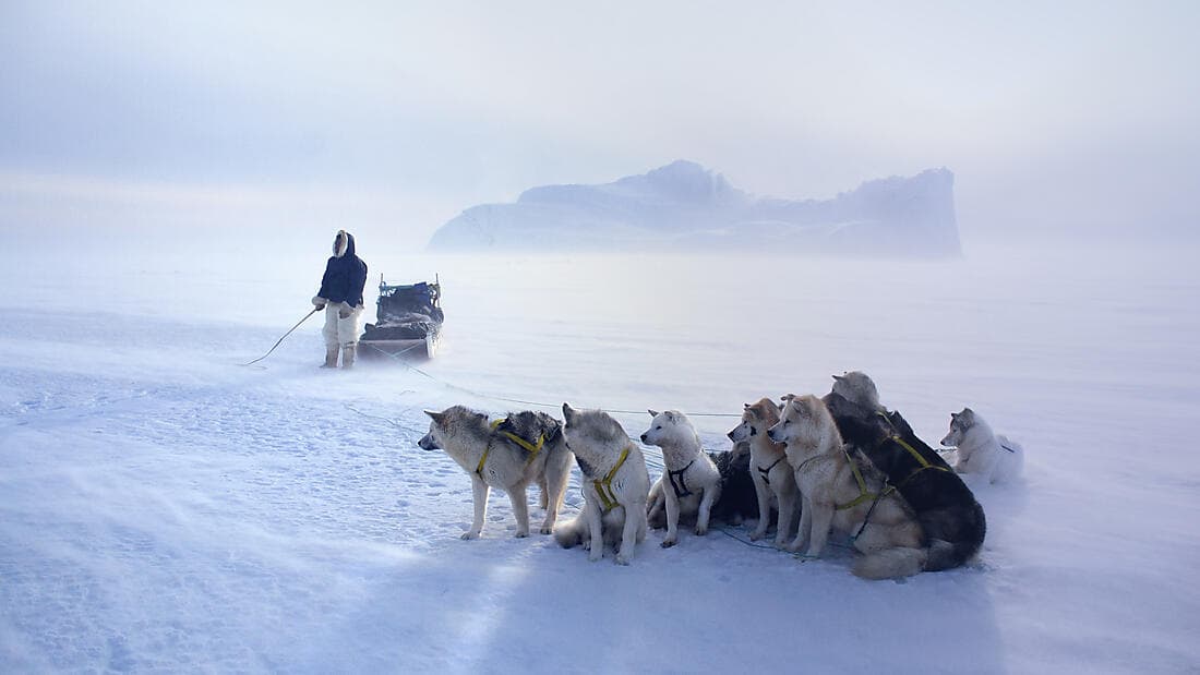 Grönland und die letzten Wächter des Nordpols