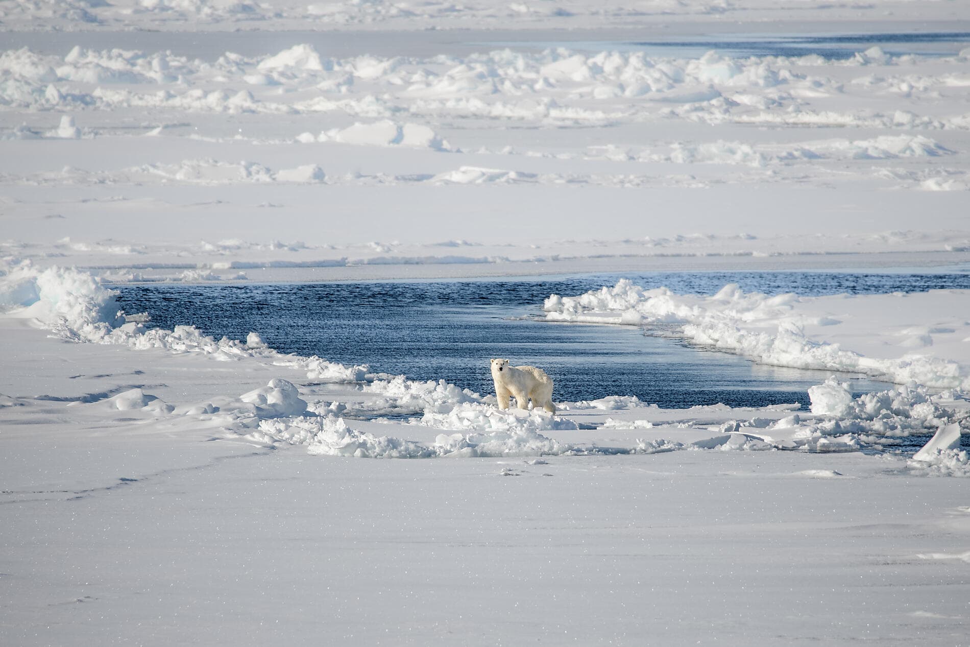 Grönland jenseits des Bekannten 