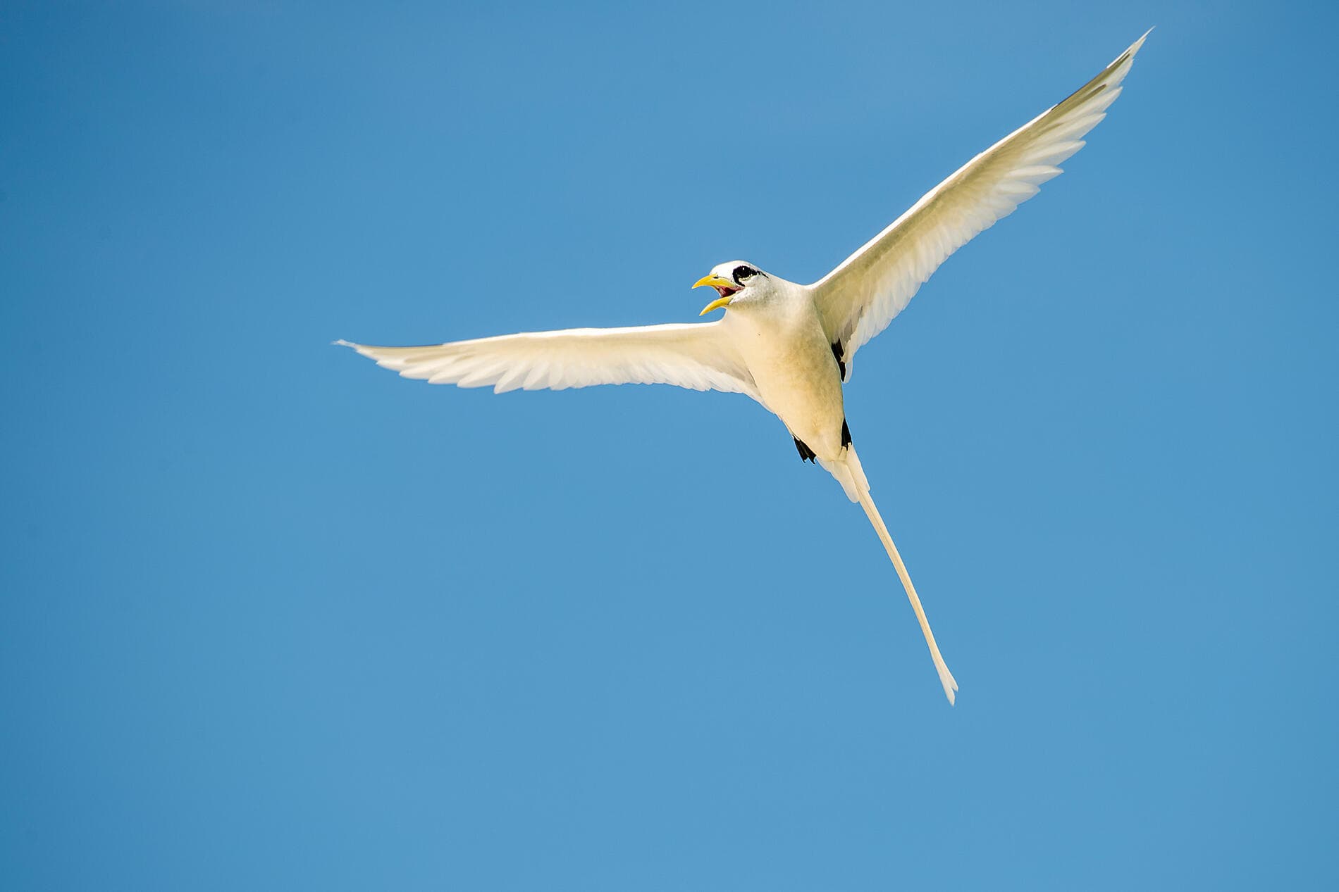 ighlights der Seychellen 