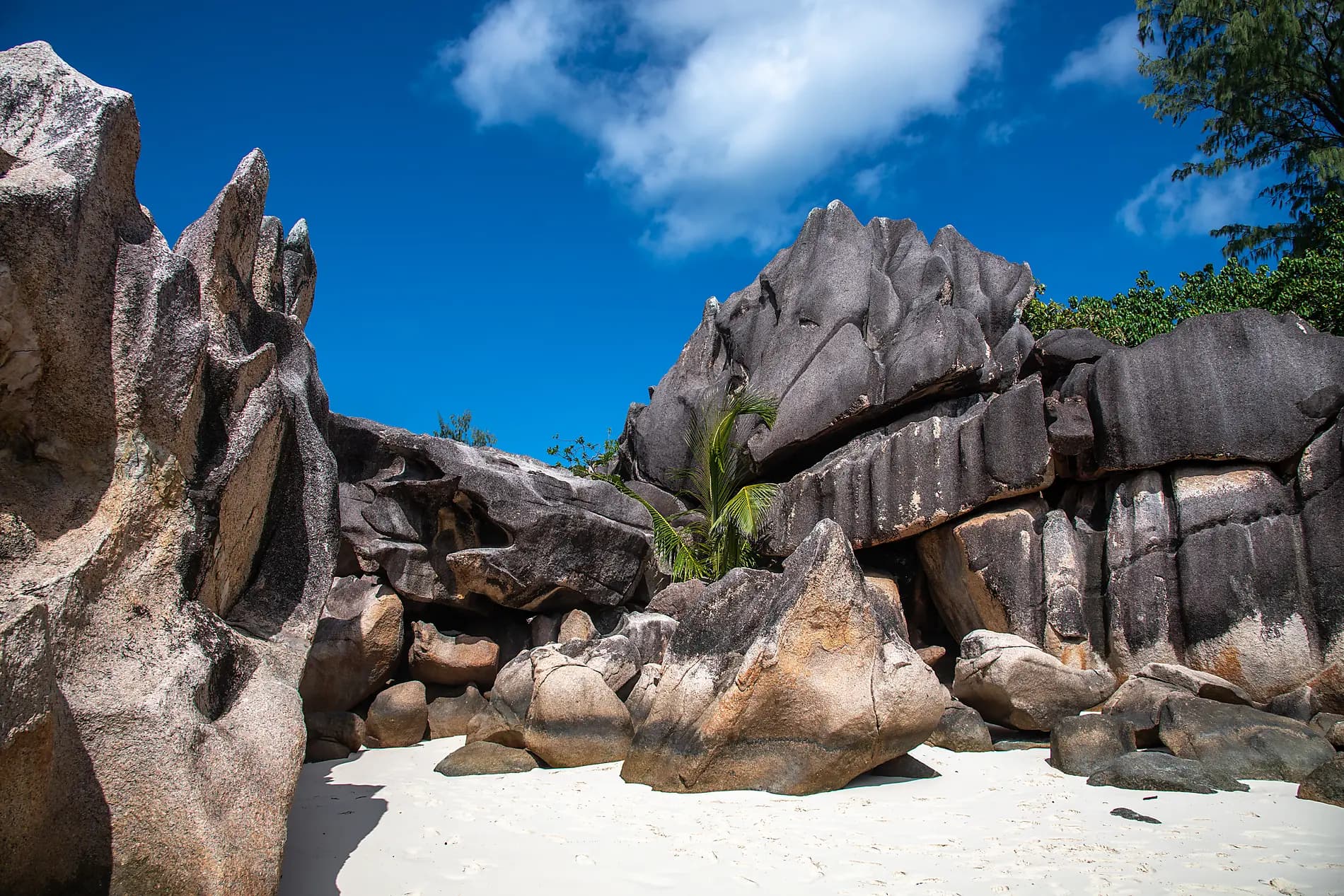 ighlights der Seychellen 