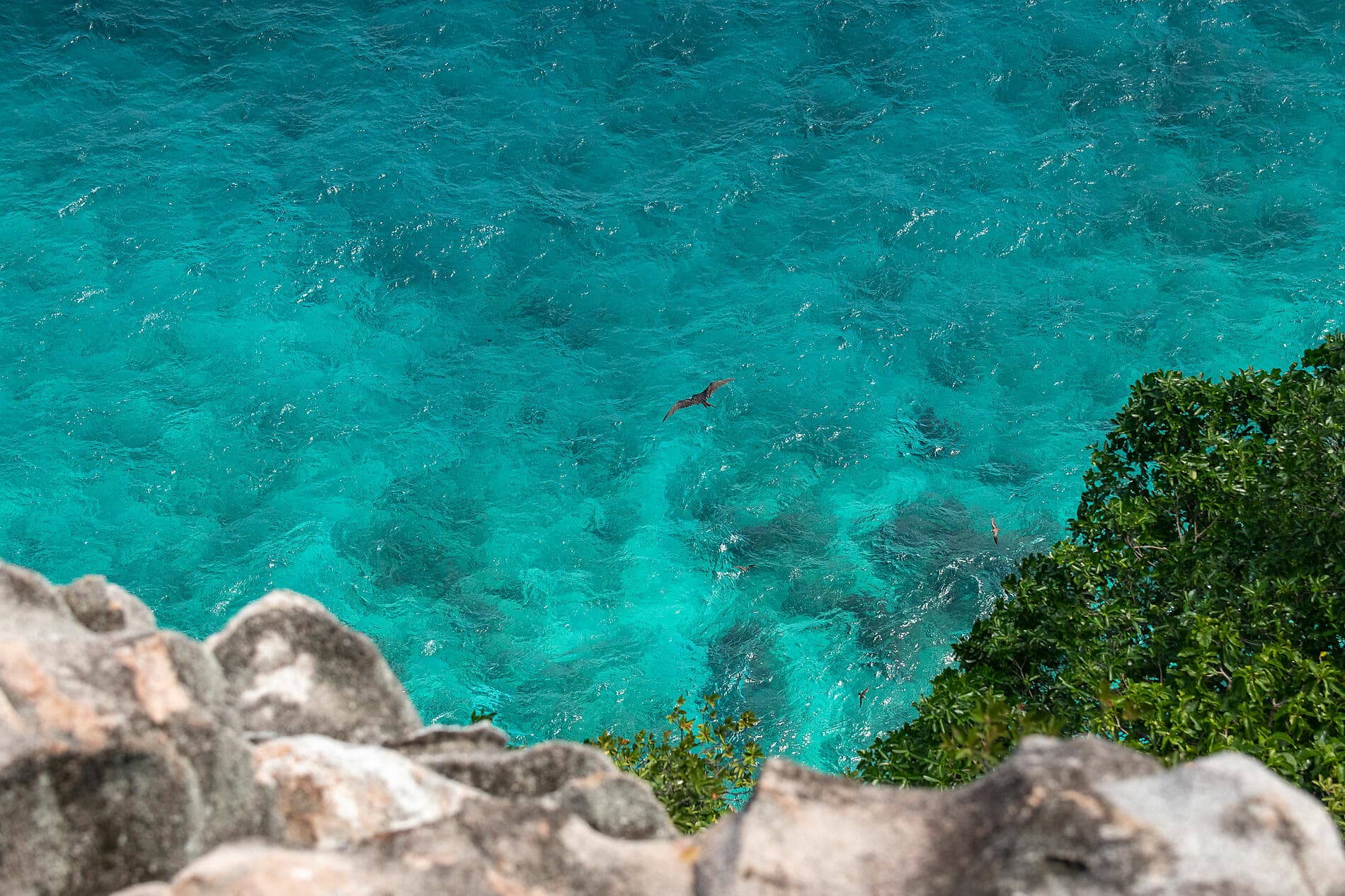 ighlights der Seychellen 