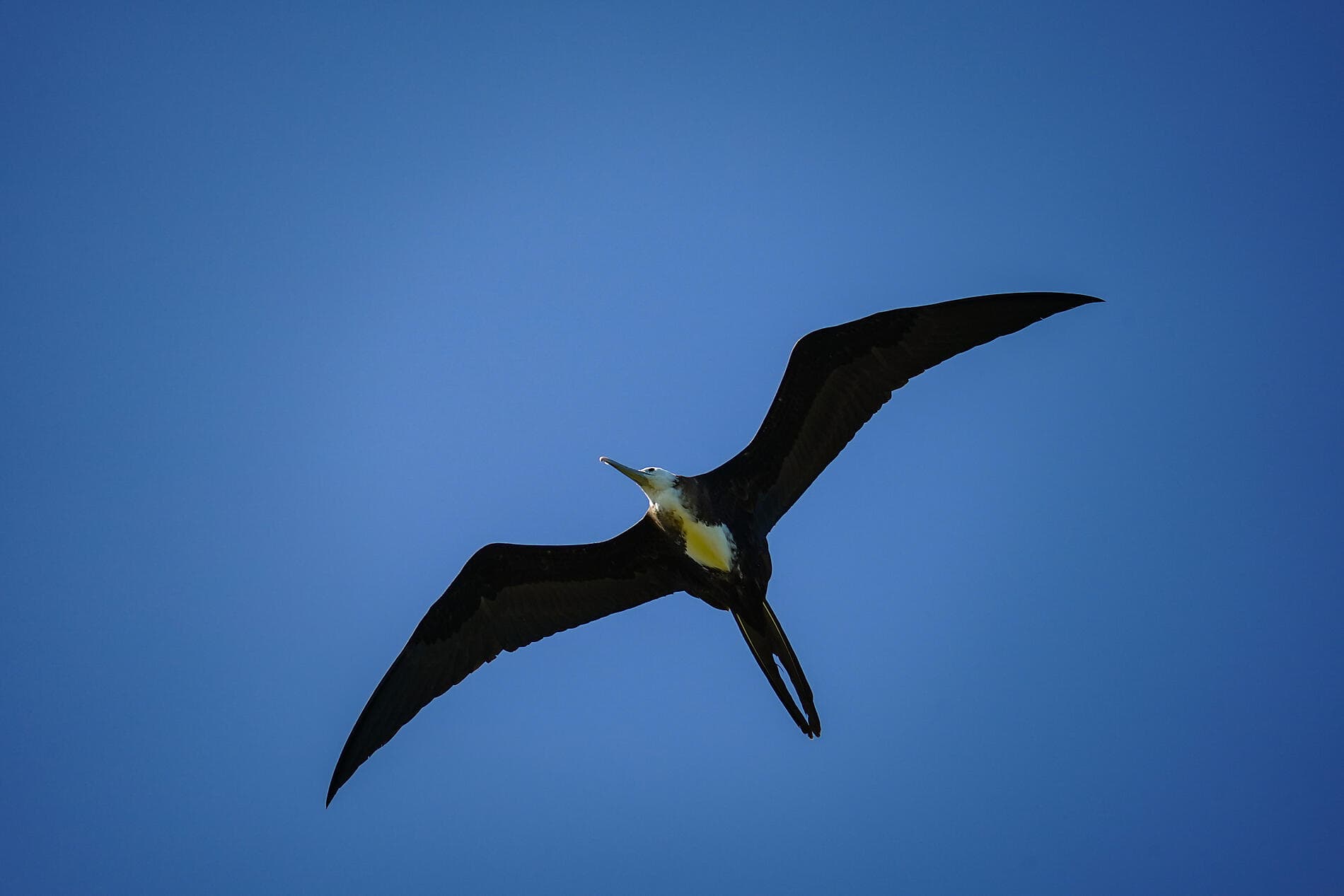 Geschichte und Kultur auf den karibischen Inseln 