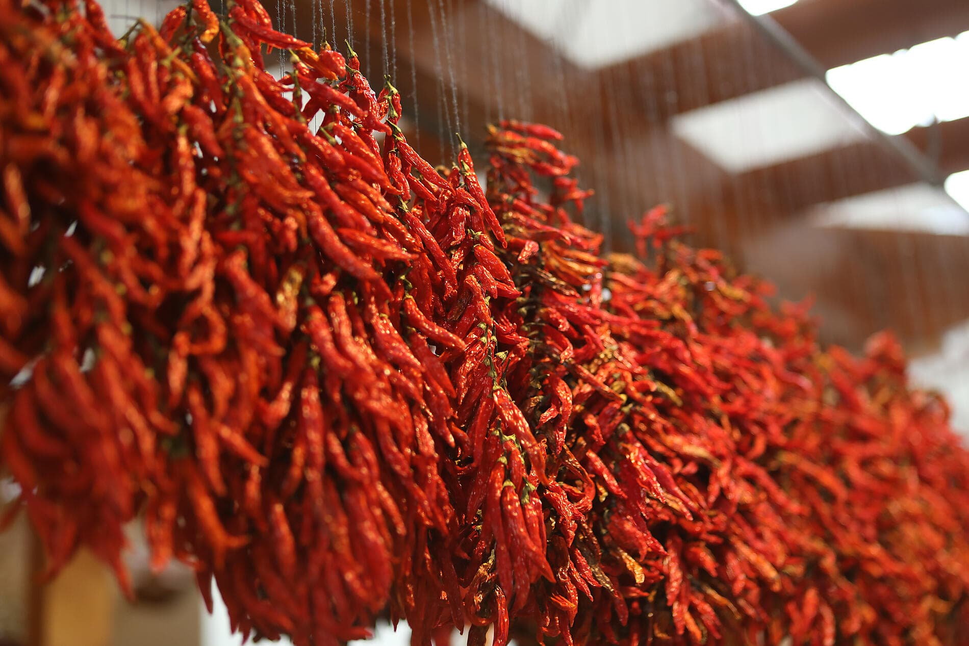 Vulkaninseln und historische Städte im Nordatlantik 