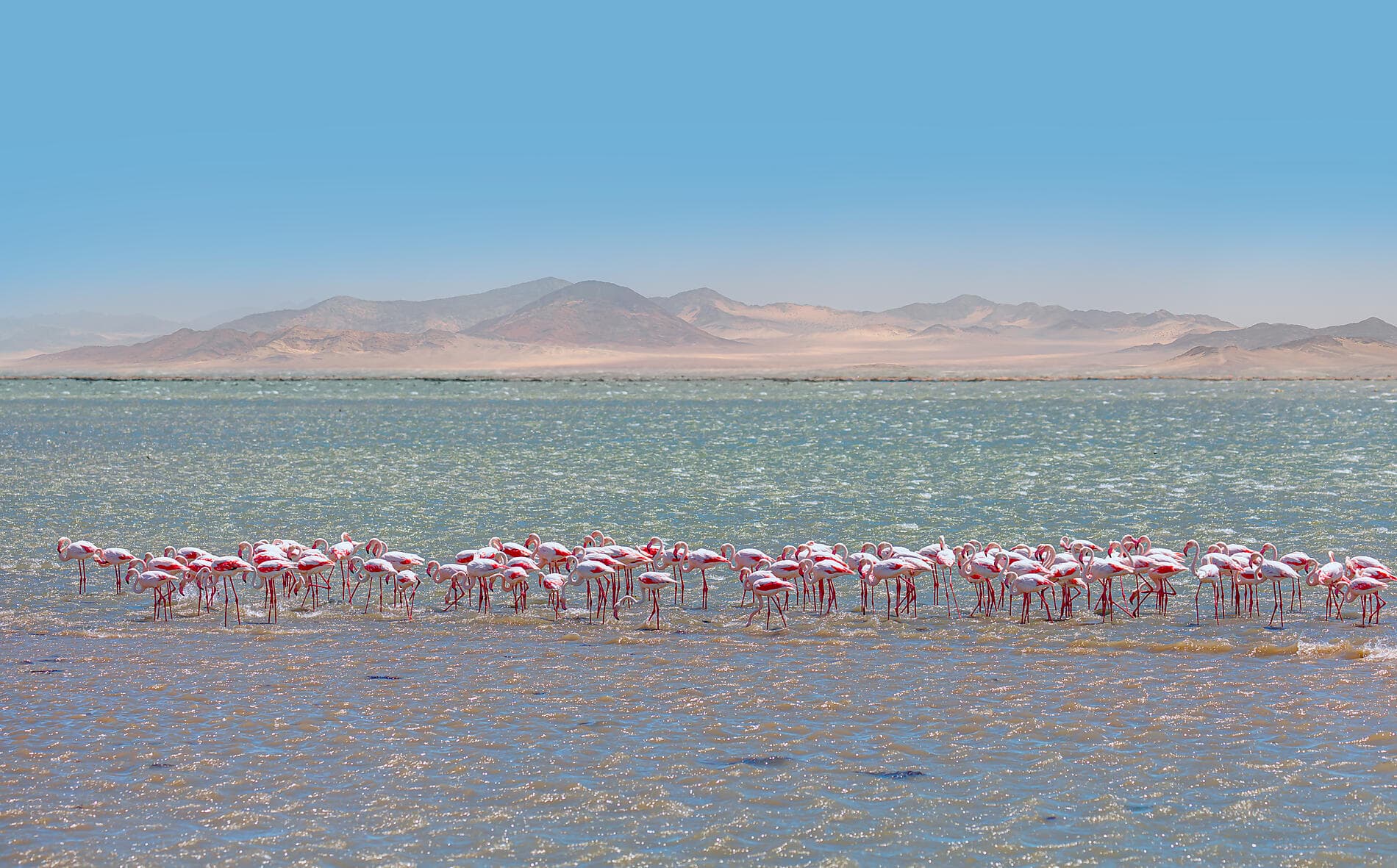 Namibia & Südafrika 