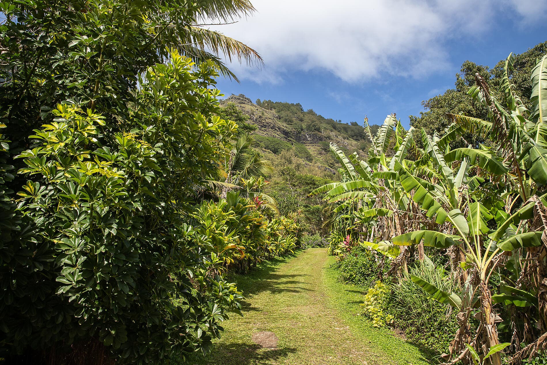 Unentdeckte Südsee: Tuamotu, Gambier- und Austral-Inseln 