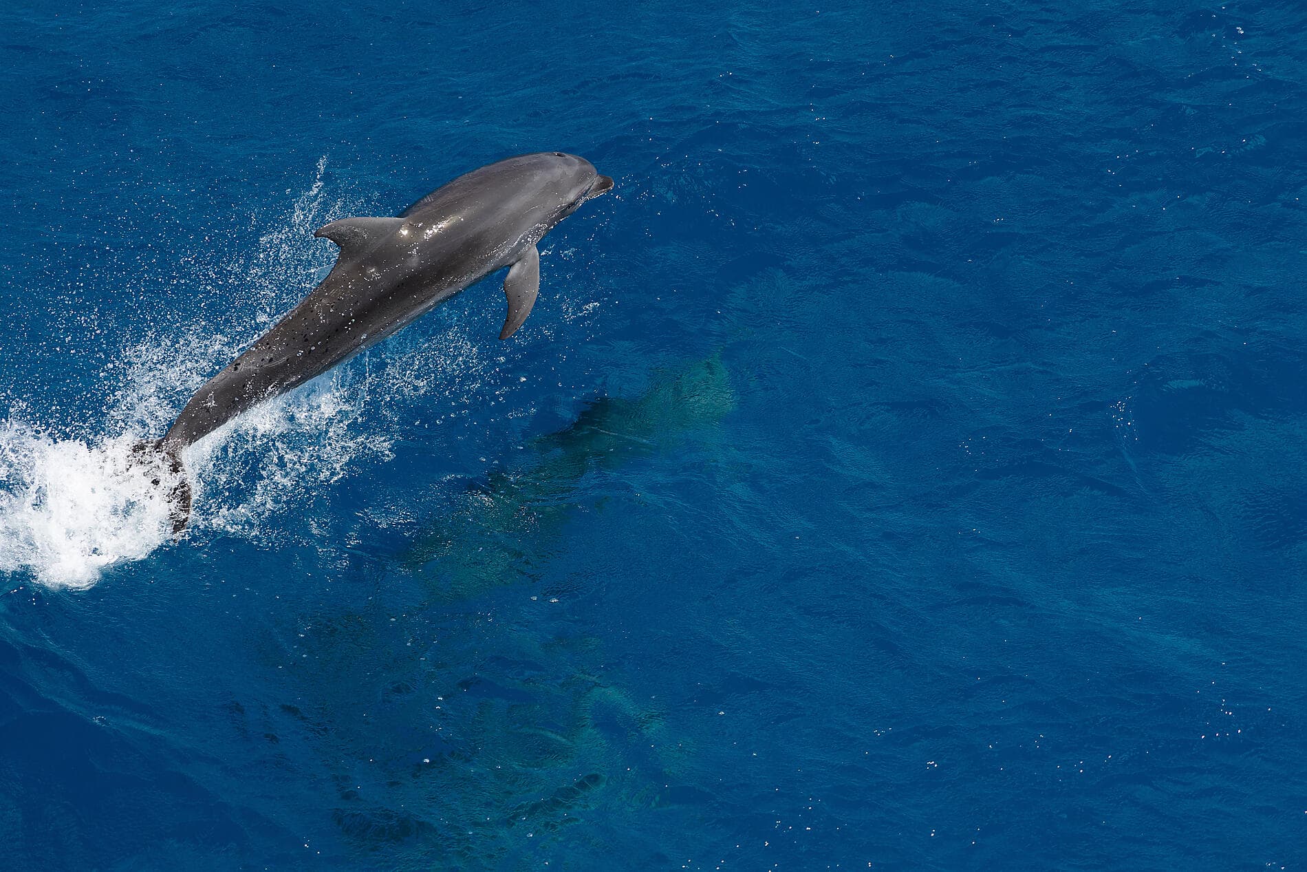 Südsee pur: Marquesas und Tuamotu 