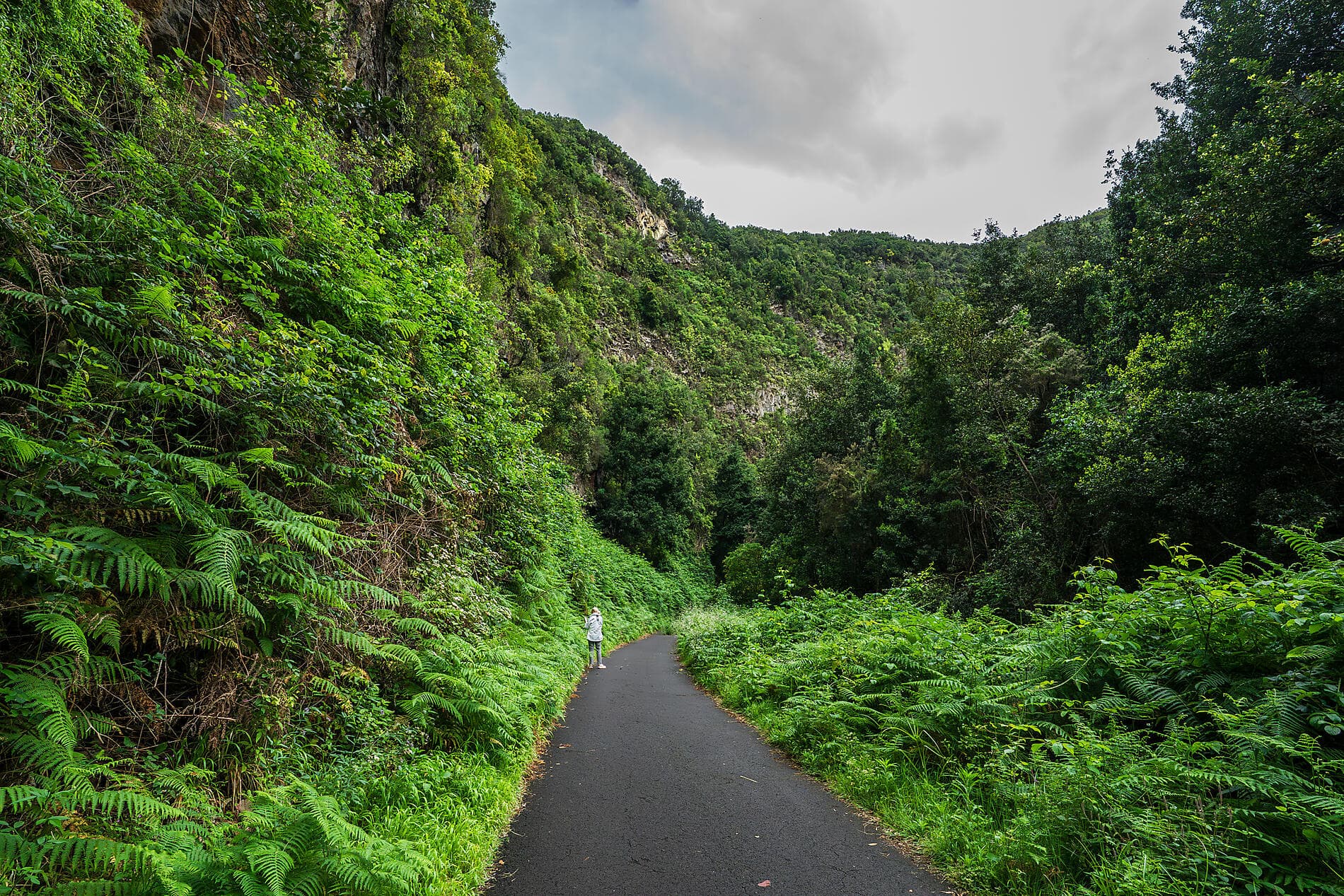 Vulkaninseln und historische Städte im Nordatlantik 