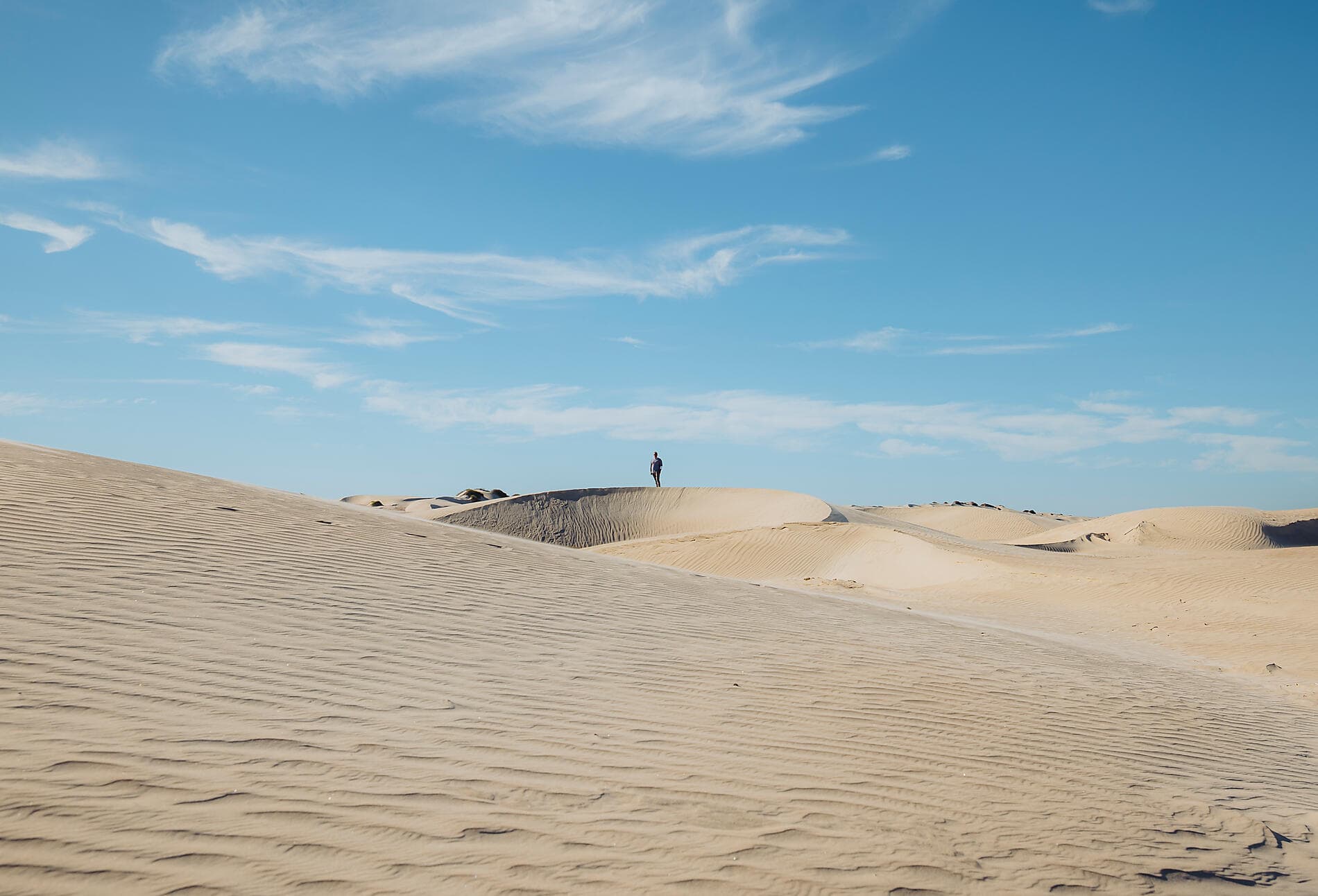 Baja California - Wale, Wüsten und weite Küsten – mit Smithsonian Journeys 
