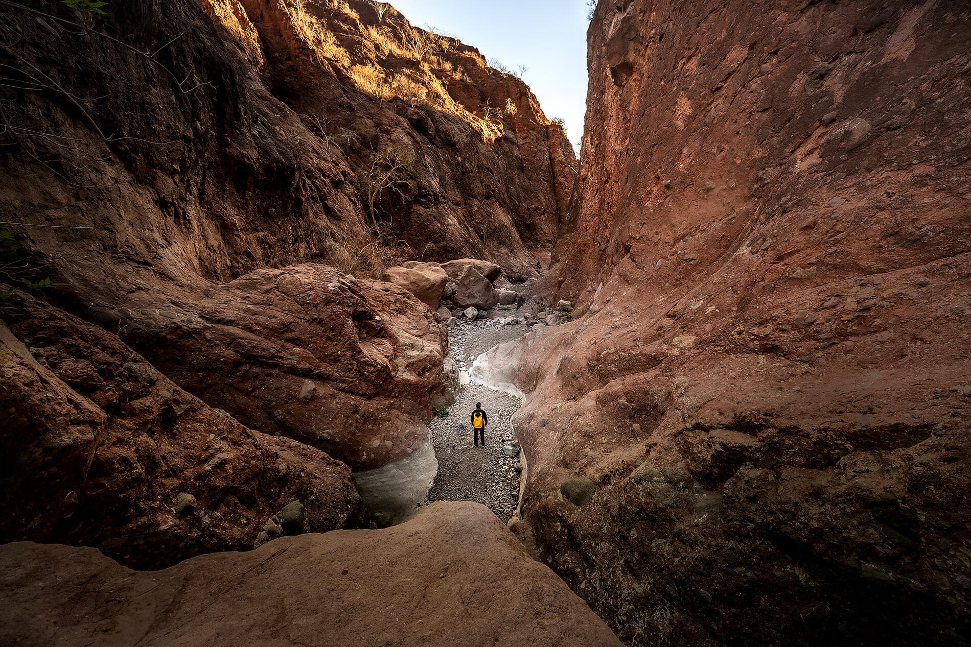 Baja California - Wale, Wüsten und weite Küsten – mit Smithsonian Journeys 