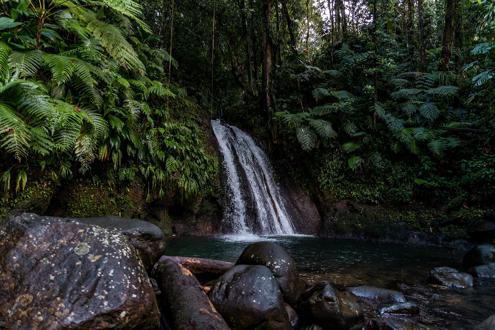 Verborgene Schätze der Kleinen Antillen