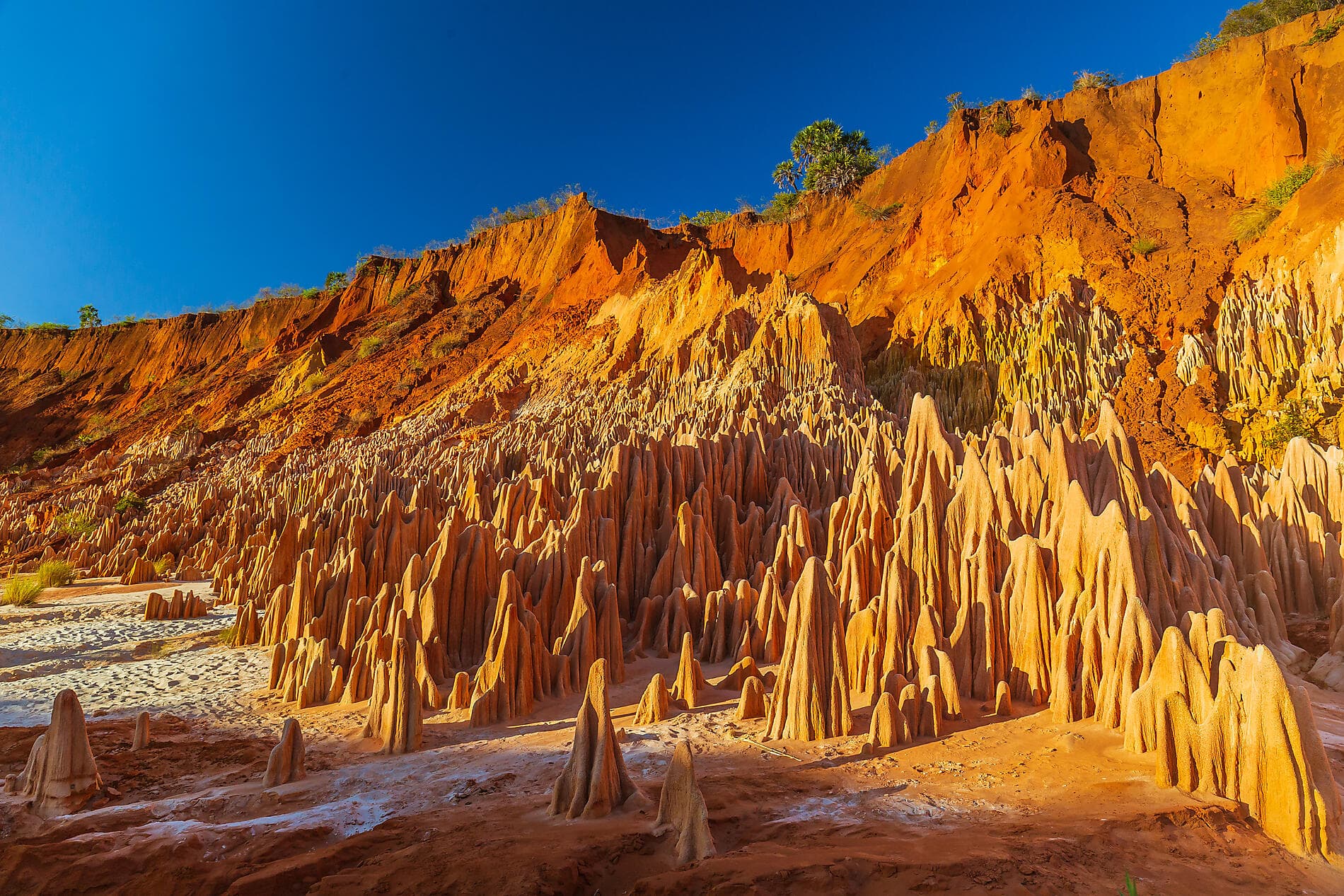 Madagaskar und Seychellen: Naturschätze des Indischen Ozeans – mit Smithsonian Journeys