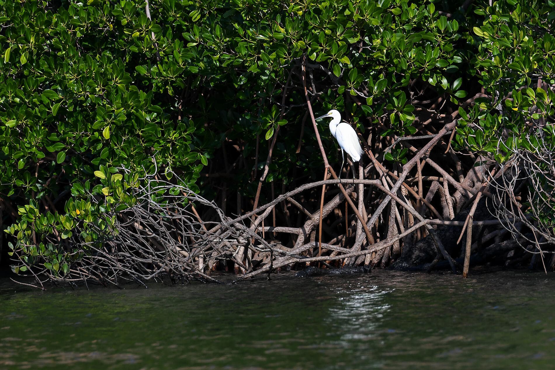 Unentdeckte Schätze Australiens 