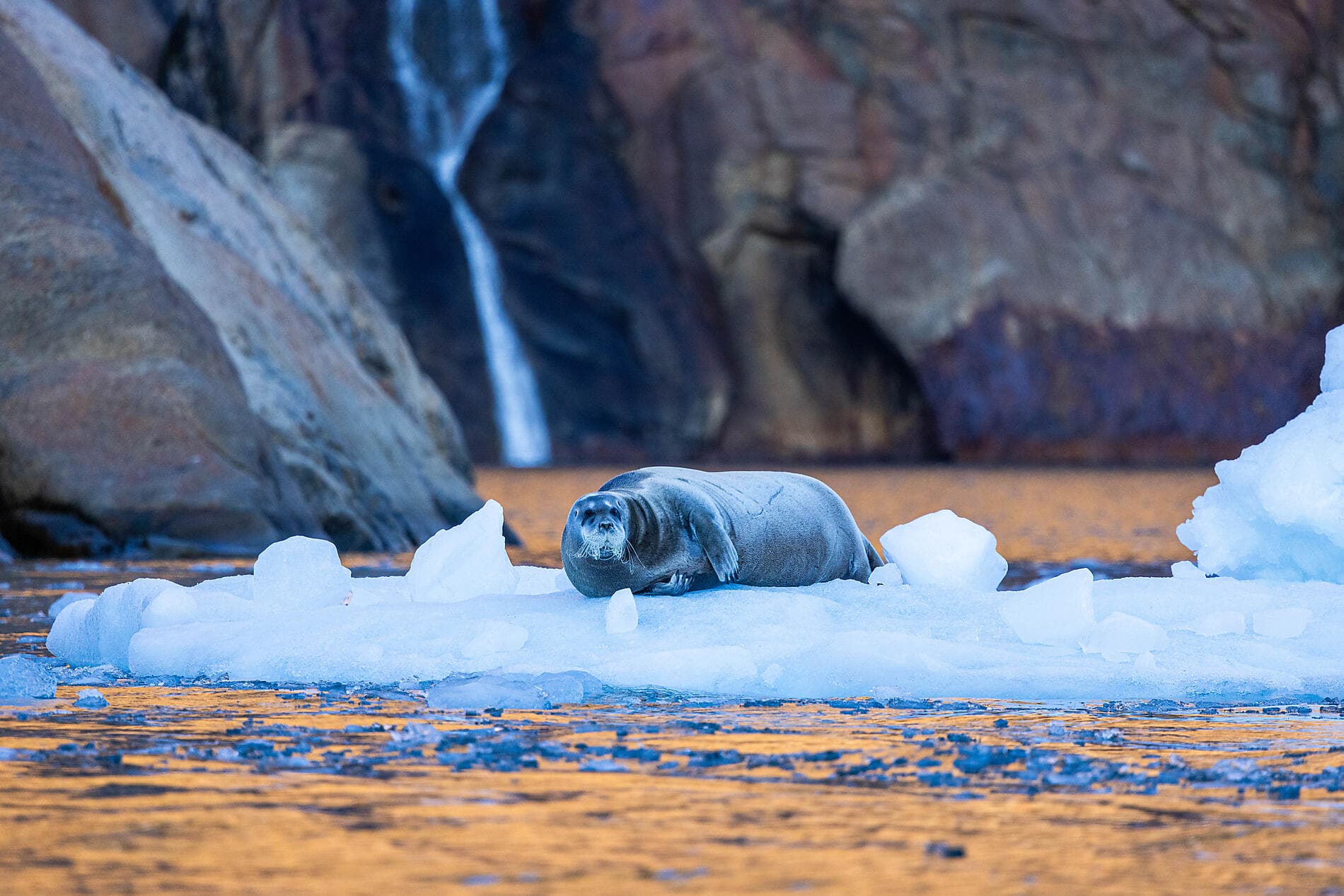 Expedition von Grönland nach Kanada 