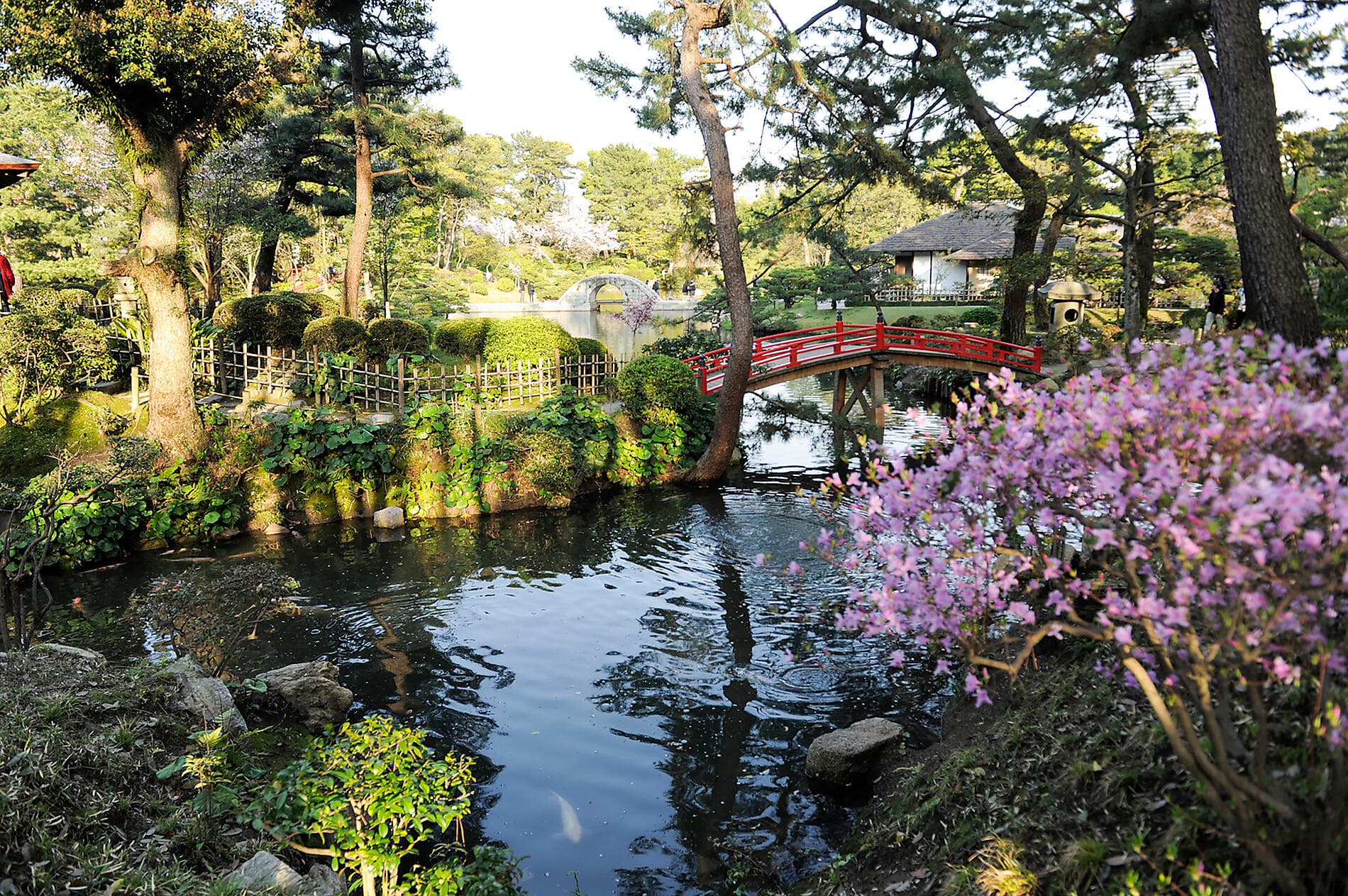 Schätze Japans und Südkoreas – mit Smithsonian Journeys 