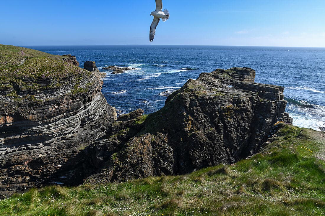 Wildes Schottland und mythische Inseln