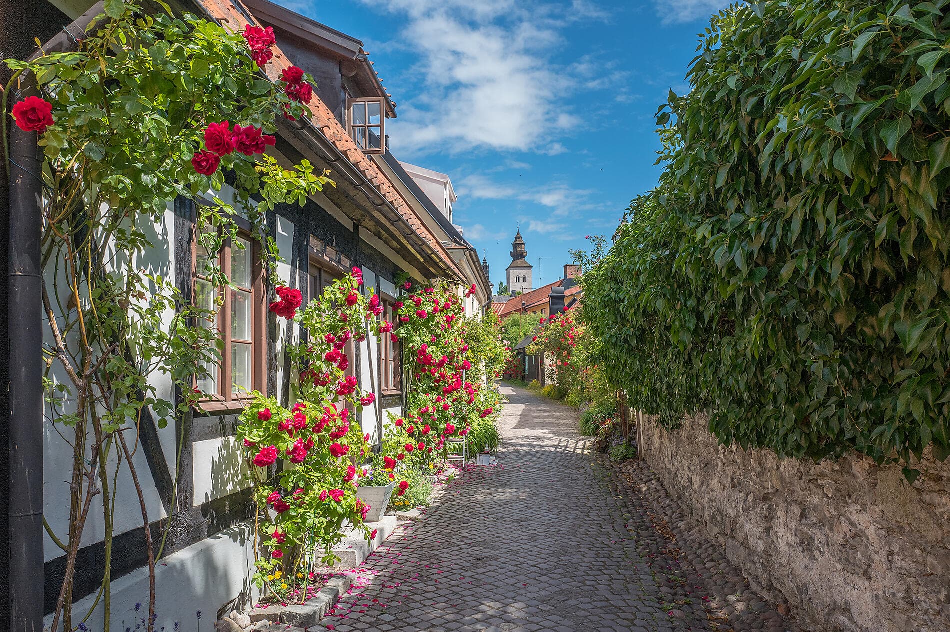 Kreuzfahrt zu den historischen Städten der Ostsee – mit Smithsonian Journeys