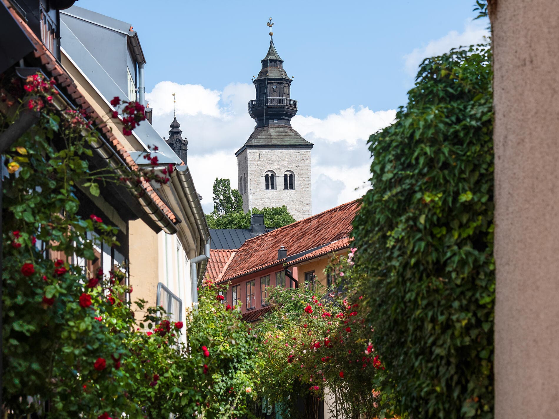 Baltische Küsten und Hansestädte 