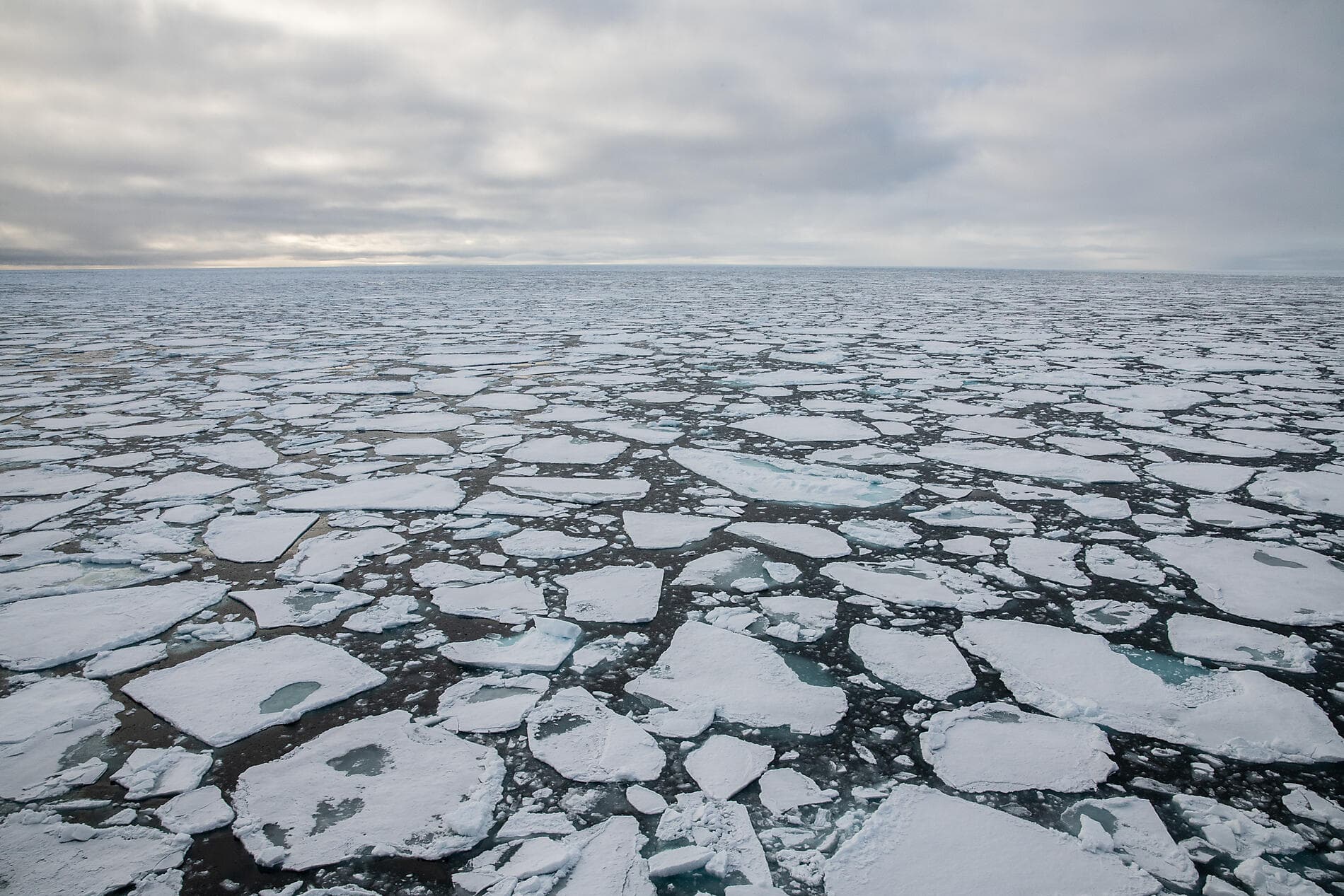 Der geografische Nordpol und die Ostküste Grönlands 