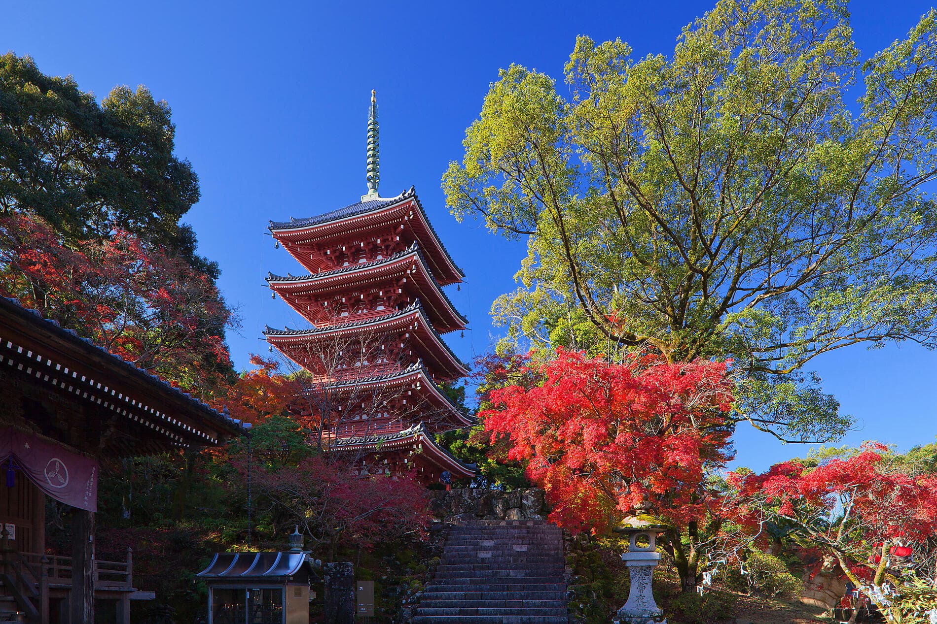Abenteuer in die subtropischen Inseln Japans 