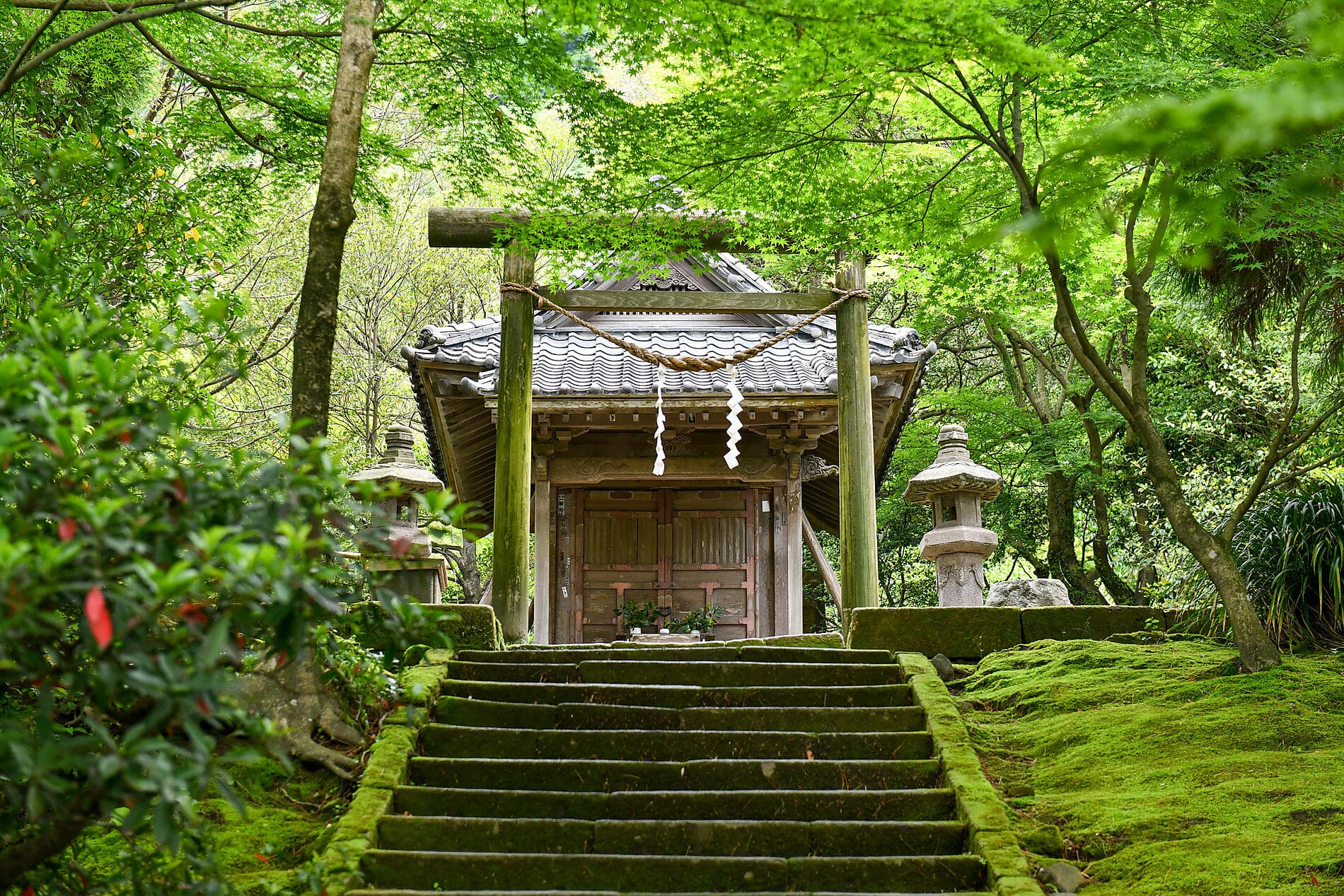 Abenteuer in die subtropischen Inseln Japans 