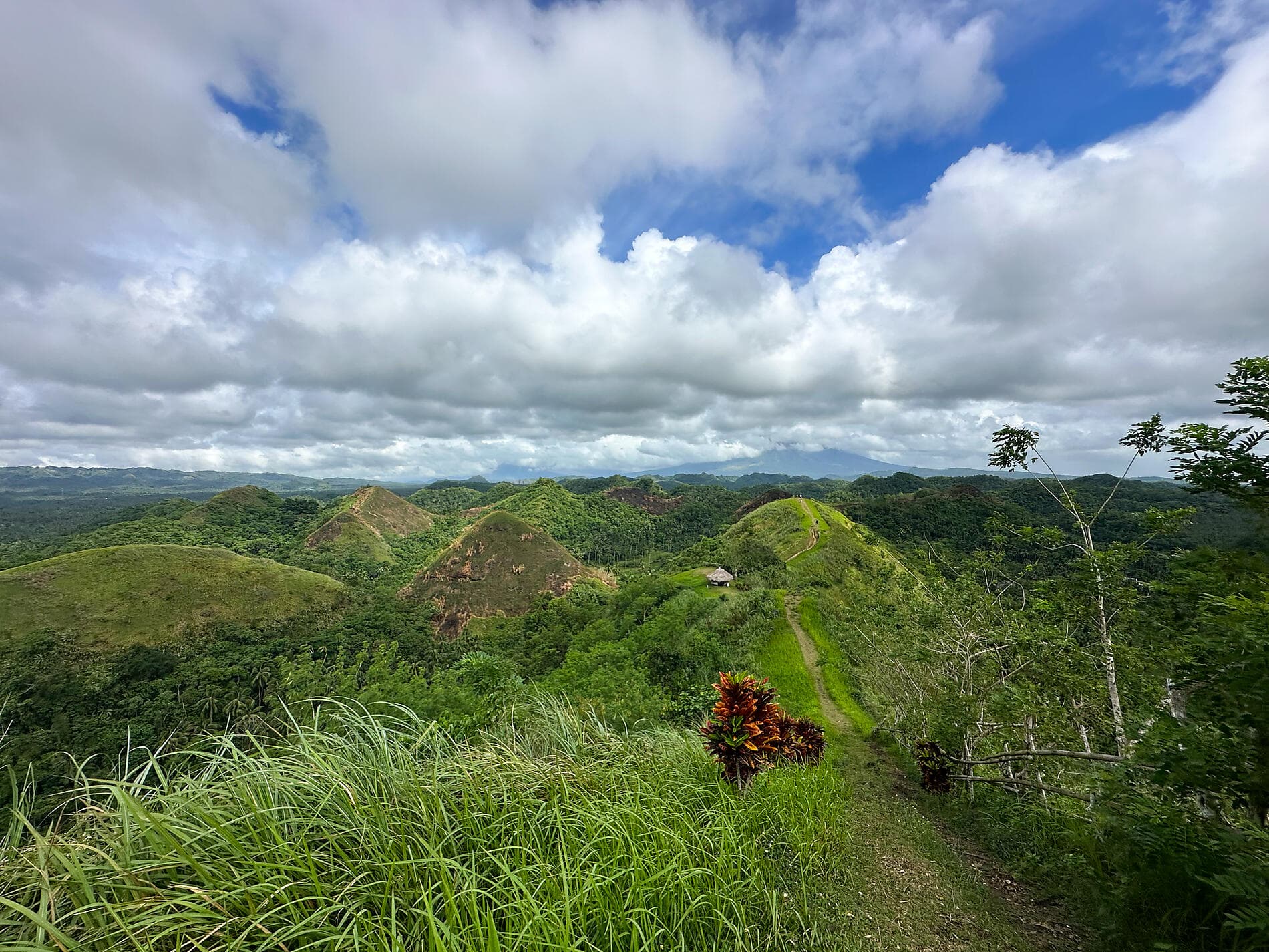 Die Geheimnisse des Visayas-Archipels 