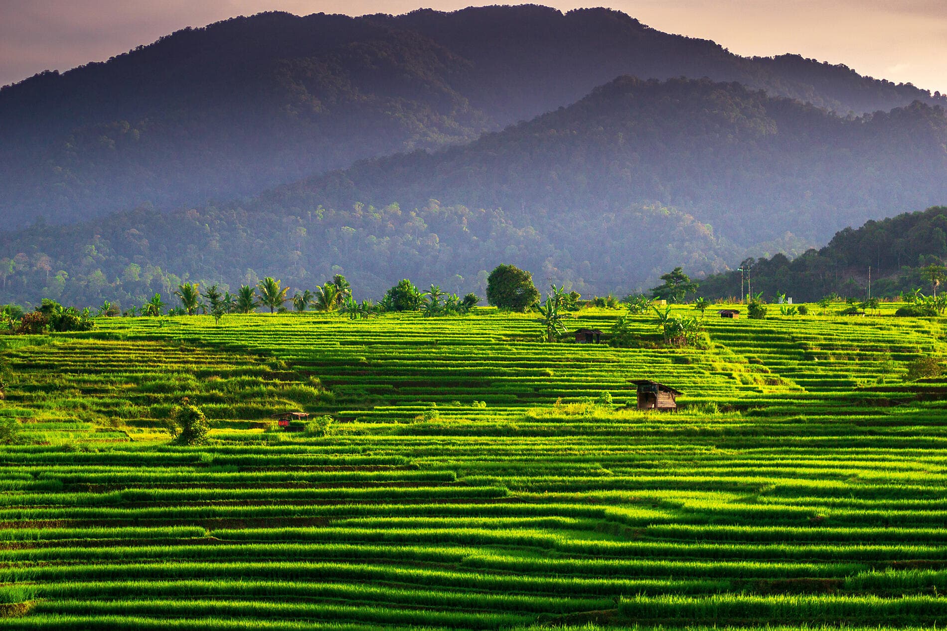 Von Tempeln und Vulkanen, Indonesien pur 