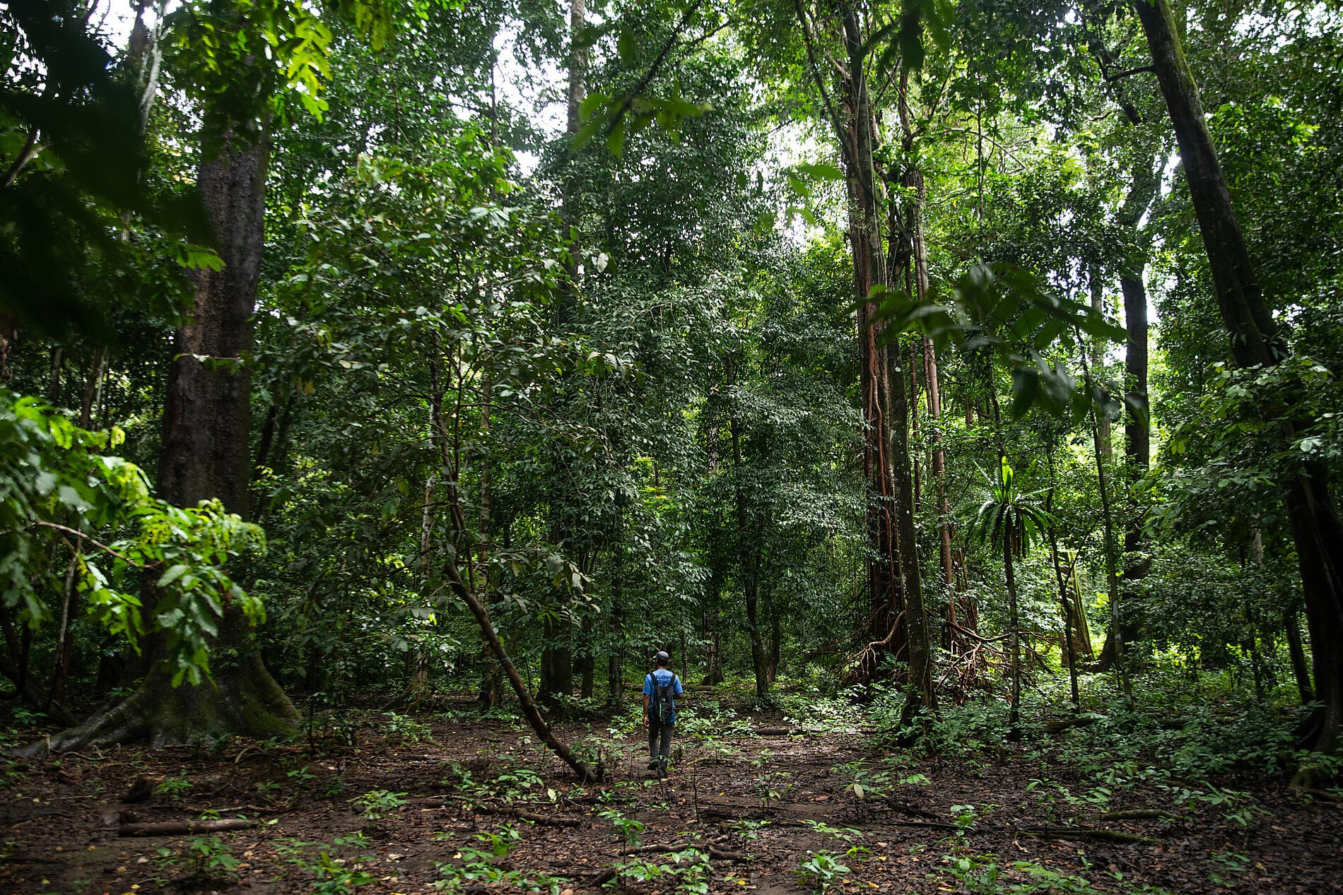 Von Tempeln und Vulkanen, Indonesien pur 
