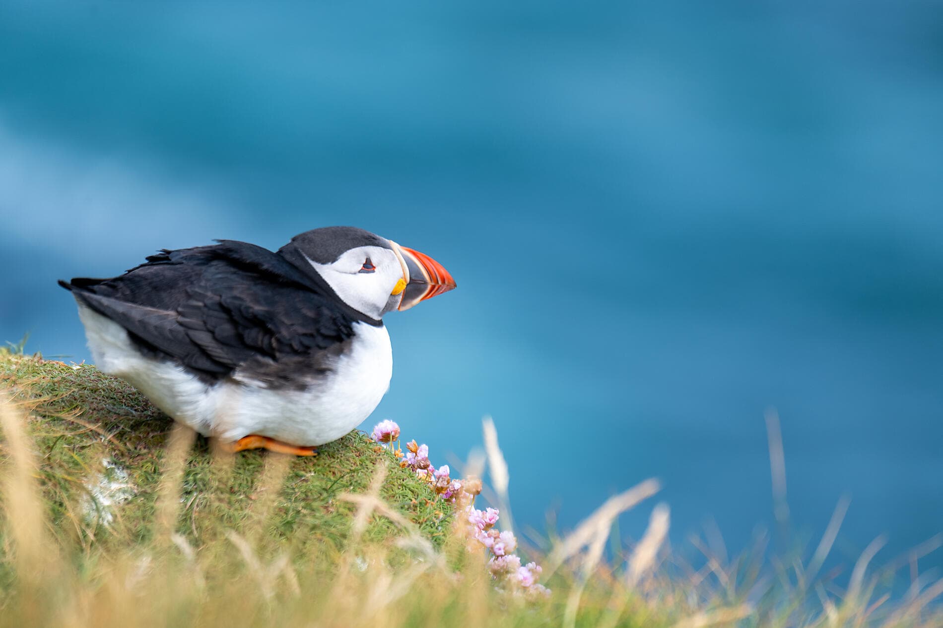 Von der Küste Schottlands bis zu den Fjorden Norwegens
