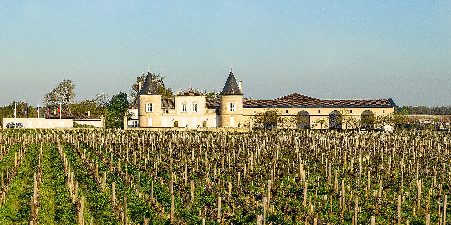 Gaumenfreuden, Weinberge und Ozean 