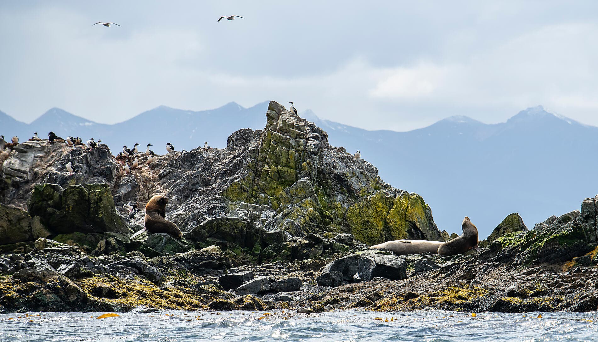 Highlights der chilenischen Fjorde 