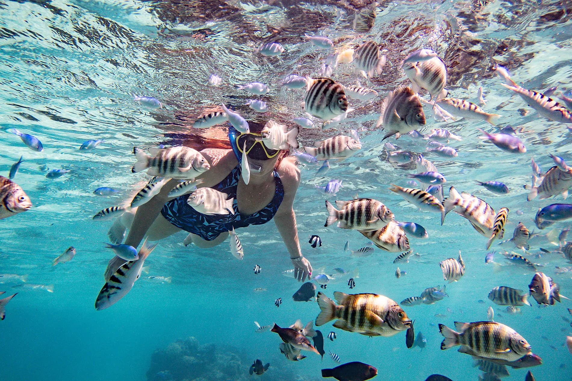 Tahiti und die Gesellschaftsinseln 
