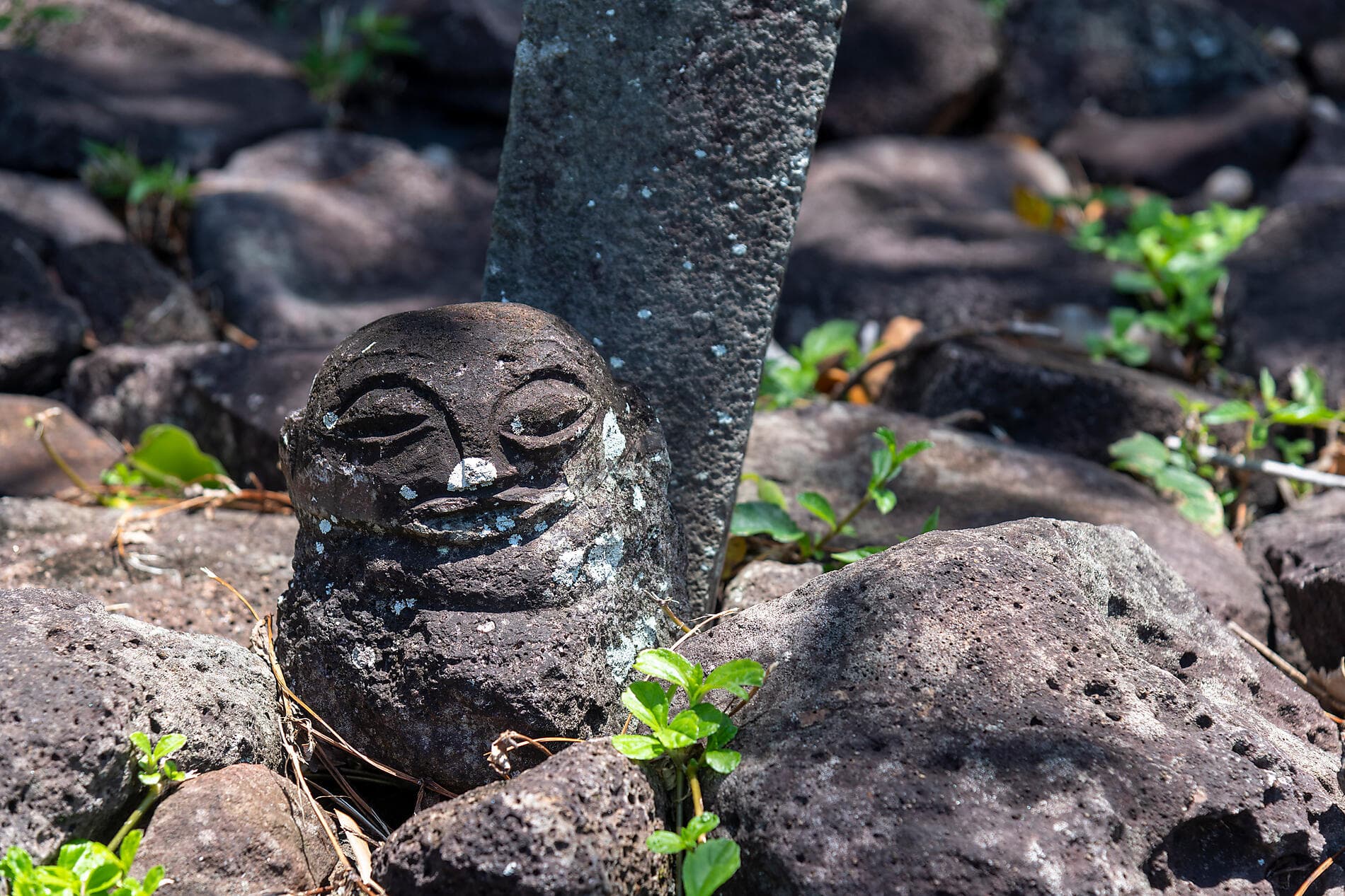 Fidschi, Tonga, Cookinseln und Gesellschaftsinseln 