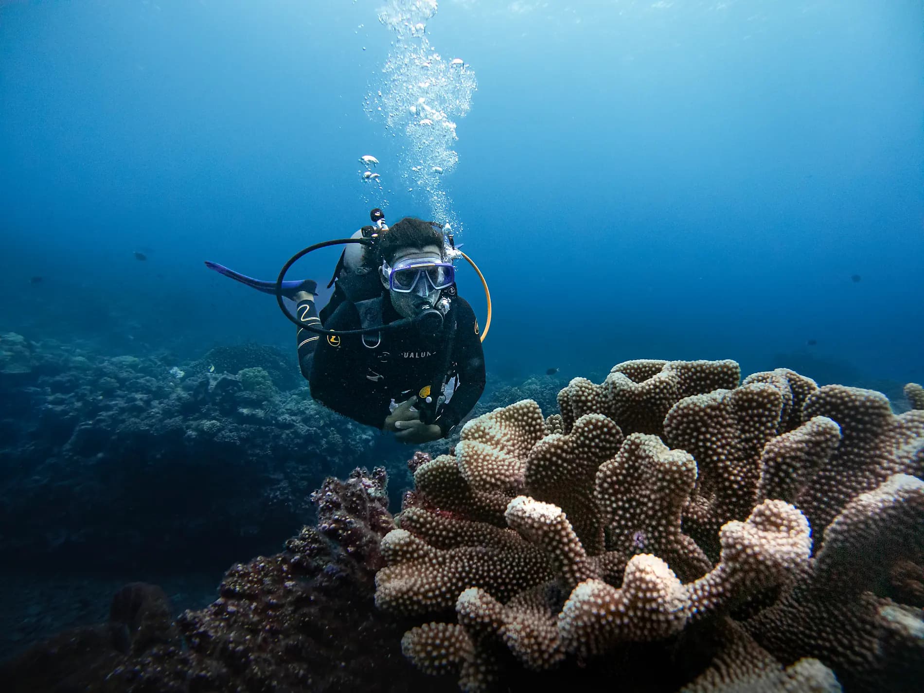 Fidschi, Tonga, Cookinseln und Gesellschaftsinseln 