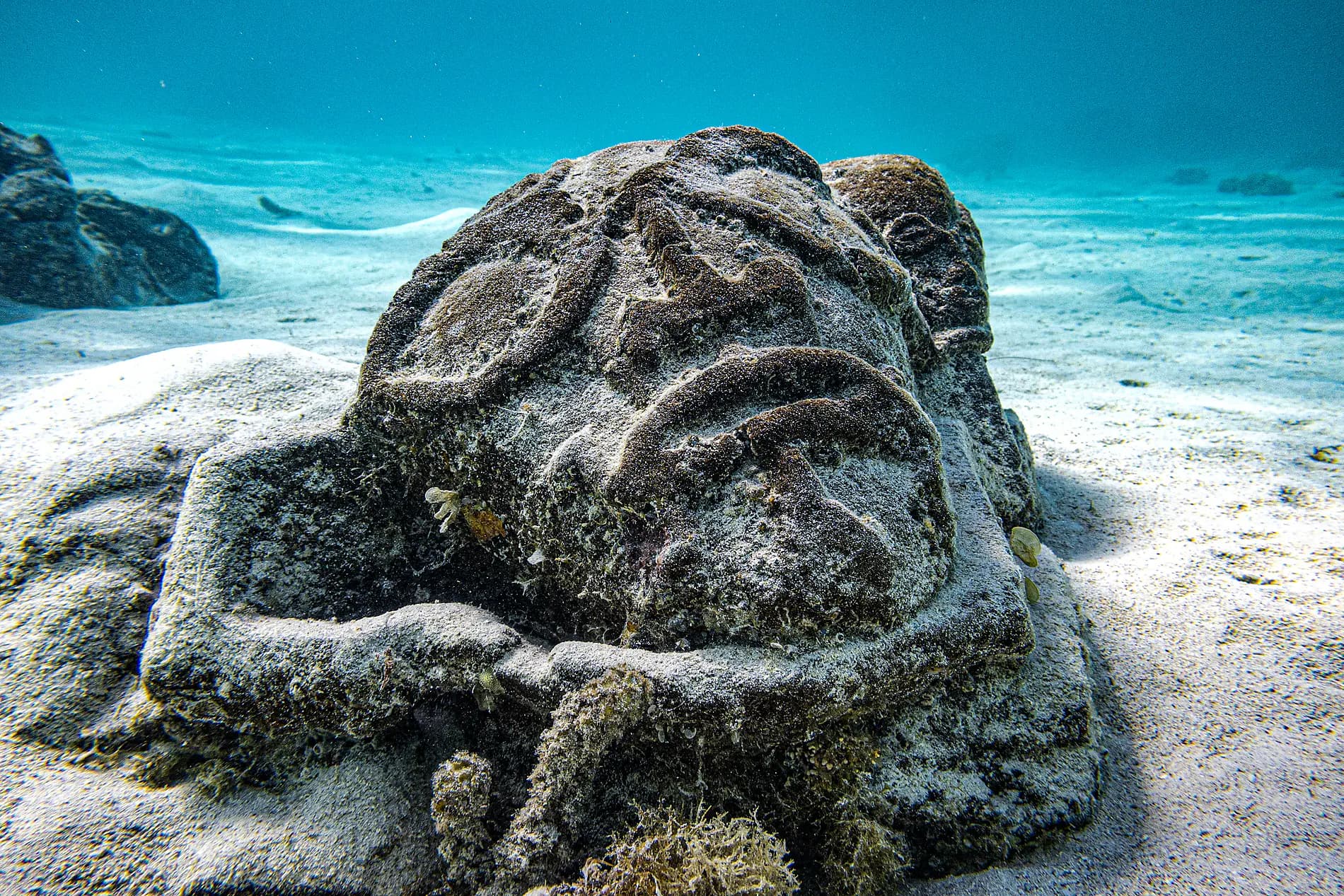 Gesellschaftsinseln und Tuamotu-Archipel  