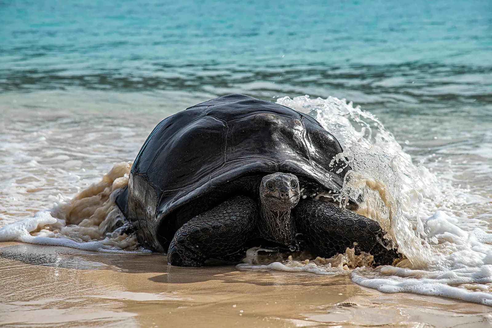 Highlights der Seychellen  