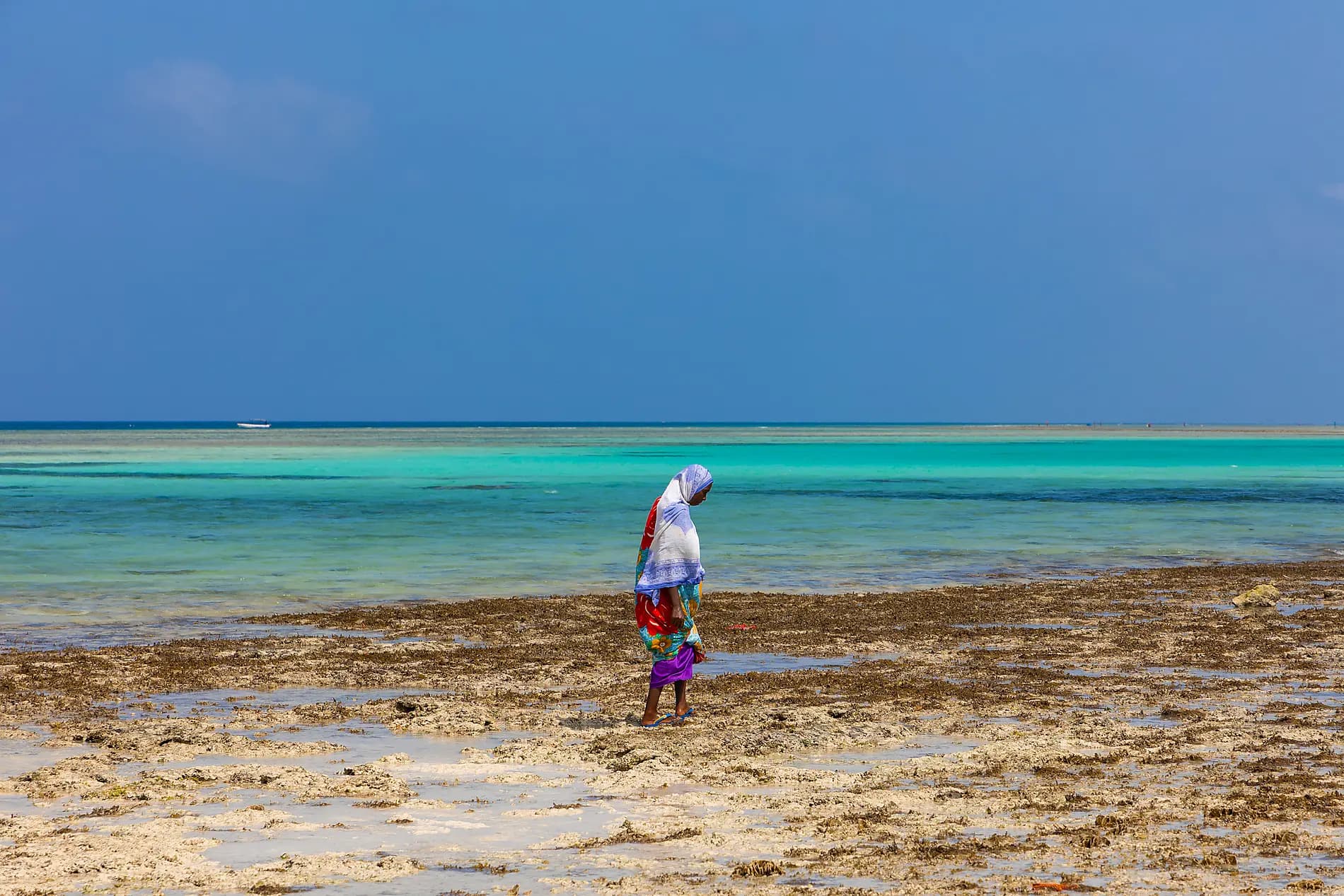 Madagaskar, Sansibar und die Perlen des Indischen Ozeans 