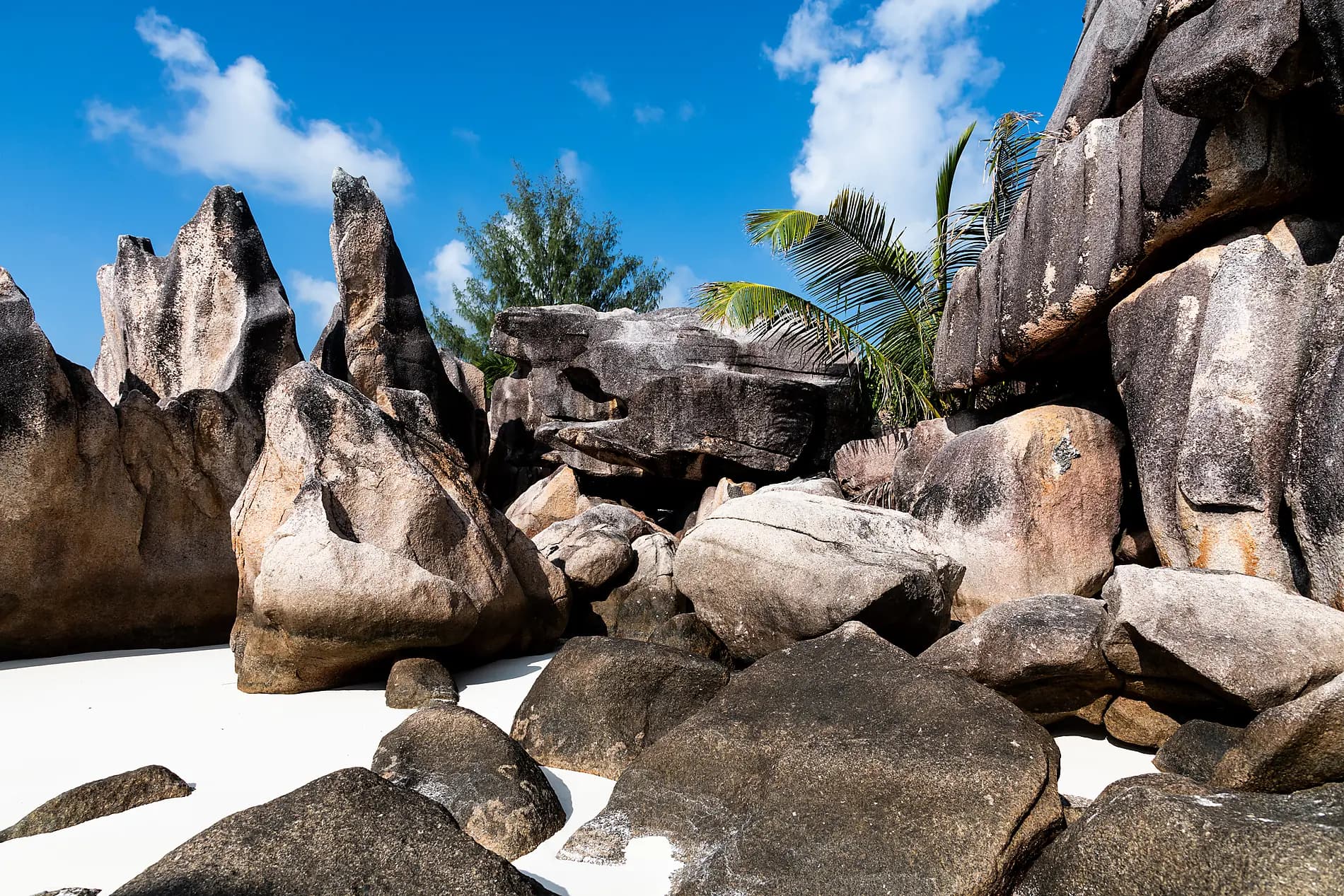 Madagaskar und Seychellen: Naturschätze des Indischen Ozeans – mit Smithsonian Journeys 